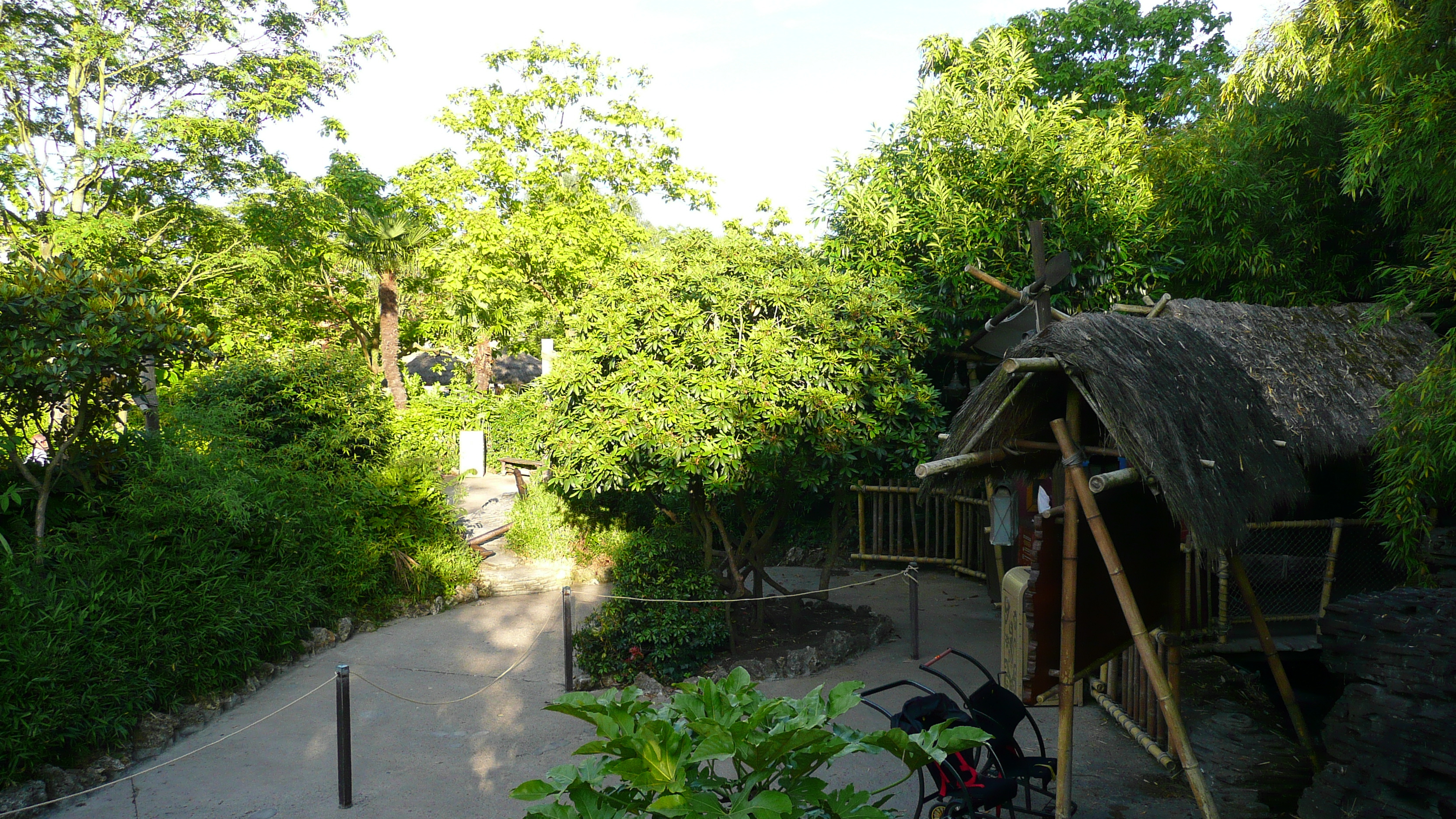 รูปถ่าย ฝรั่งเศส(France) ดิสนีย์แลนด์ปารีส(Disneyland Paris) บ้านต้นไม้โรบินสัน(La Cabane des Robinson) 2007-07 6