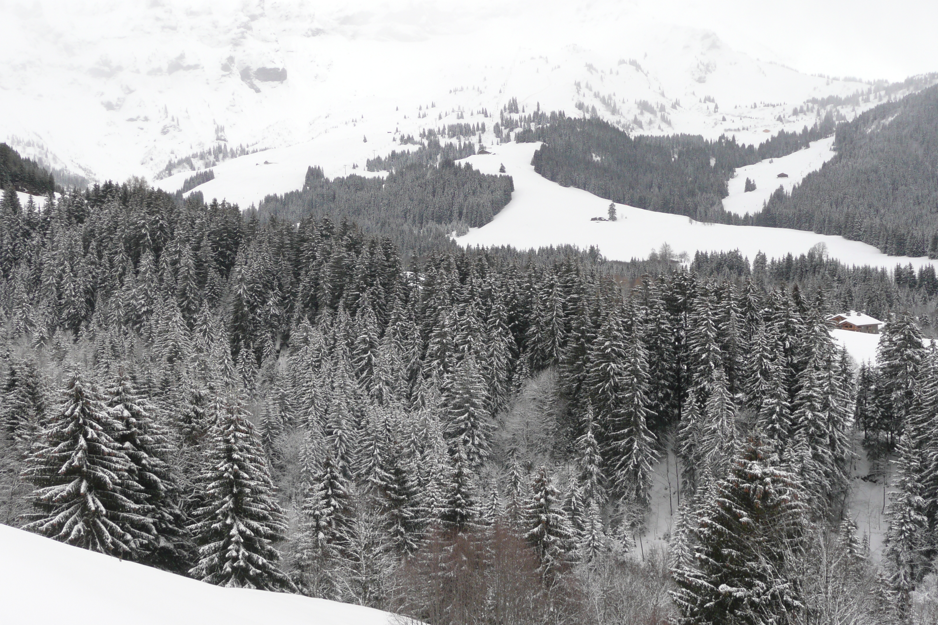 รูปถ่าย ฝรั่งเศส(France) เมแฌฟว์(Megeve) เลอปลาเน(Le Planay) 2010-02 29