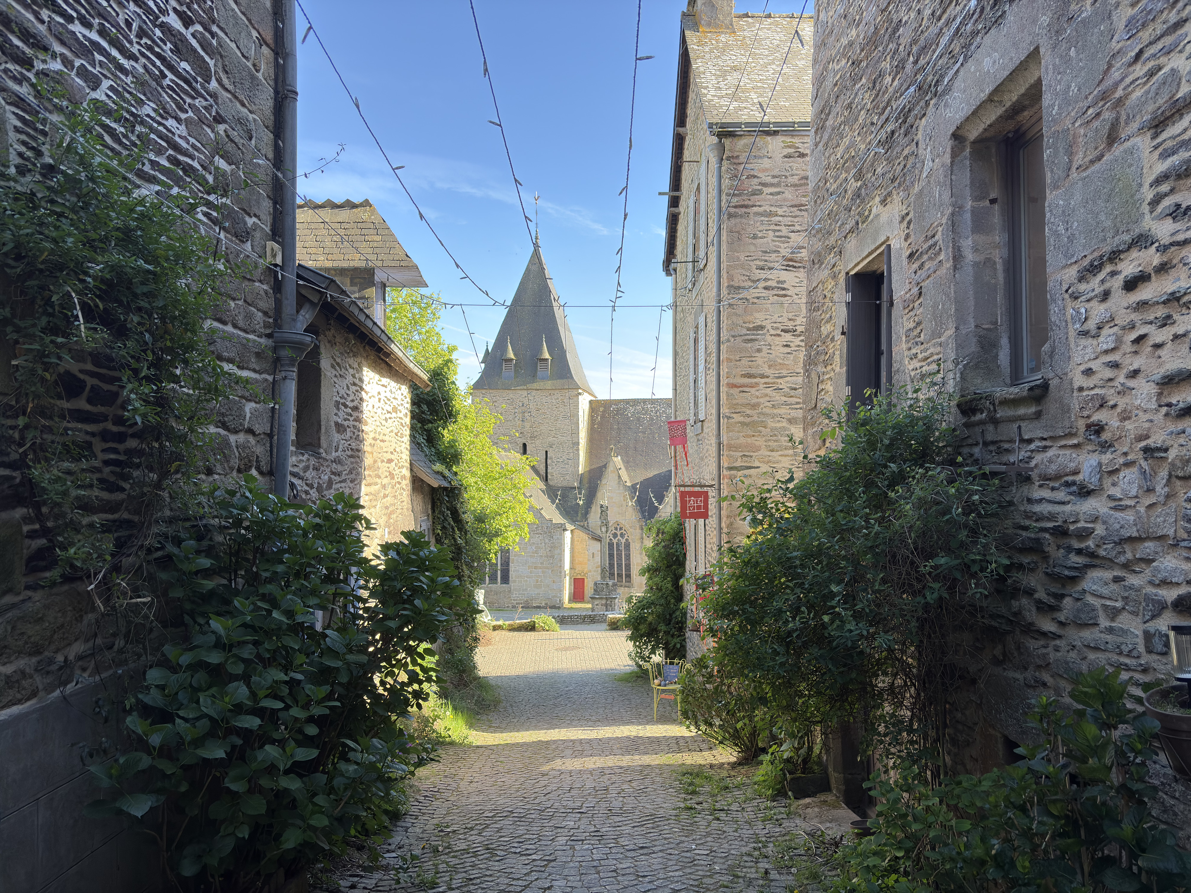 รูปถ่าย ฝรั่งเศส(France) รอชฟอร์-อ็อง-แตร์(Rochefort en terre) 2026-04 70