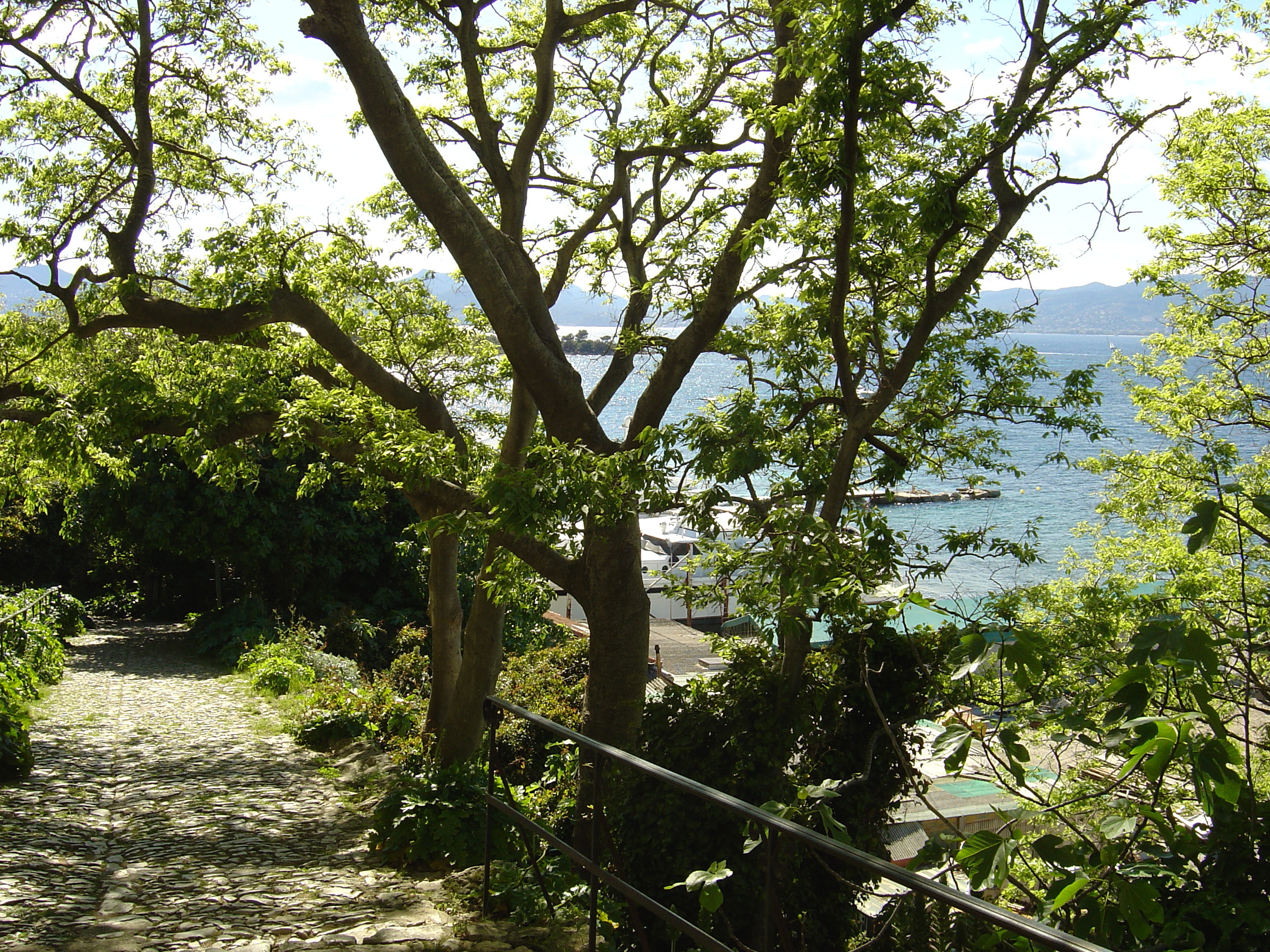 รูปถ่าย ฝรั่งเศส(France) คานส์(Cannes) เกาะแซ็งต์-มาร์เกอริต(Sainte Marguerite) 2004-05 53