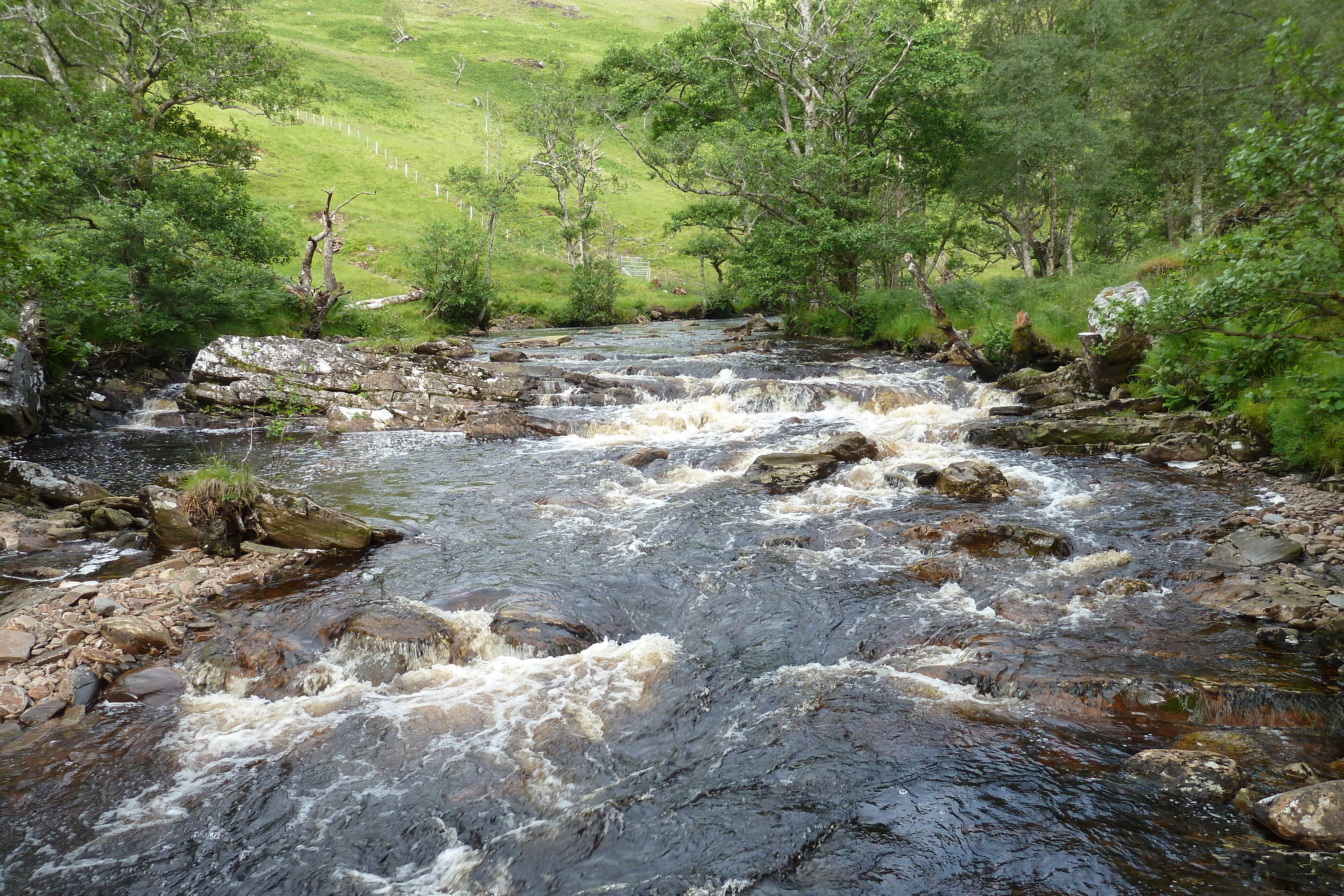 รูปถ่าย อังกฤษ(United Kingdom) เวสเตอร์รอสส์(Wester Ross) 2011-07 133