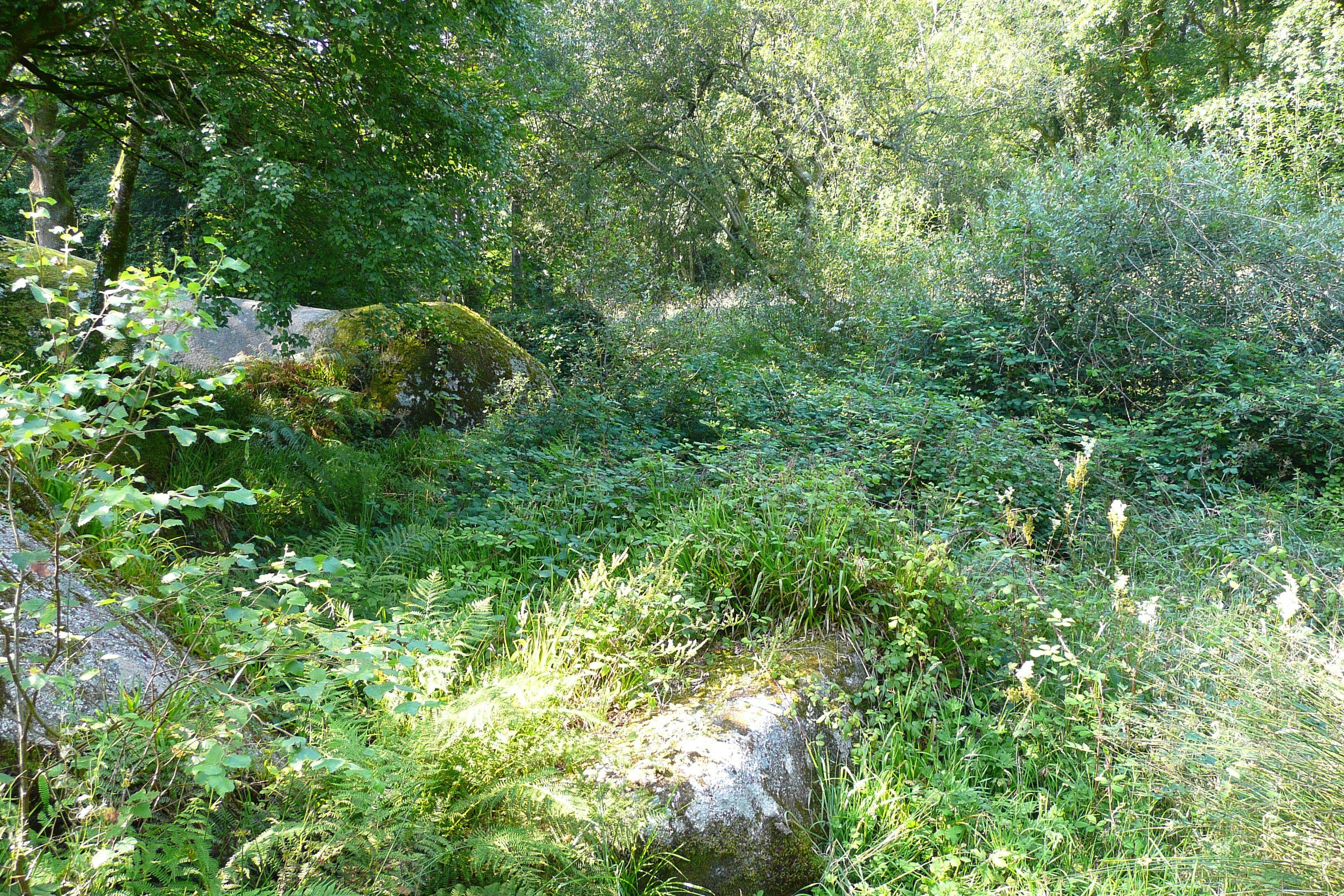 รูปถ่าย ฝรั่งเศส(France) อูแอลโกแอท(Huelgoat) 2007-08 38
