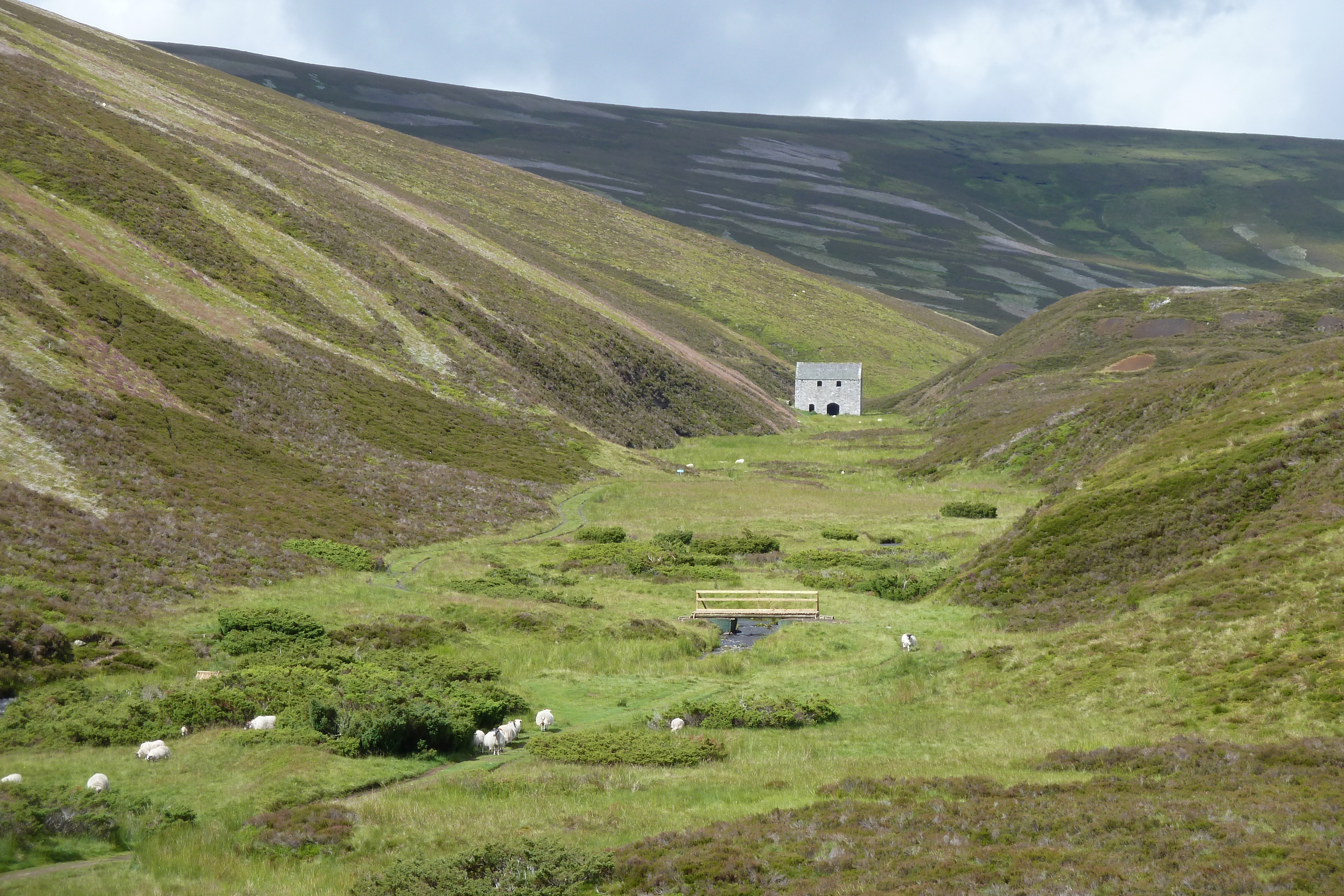 รูปถ่าย อังกฤษ(United Kingdom) สกอตแลนด์(Scotland) 2011-07 23