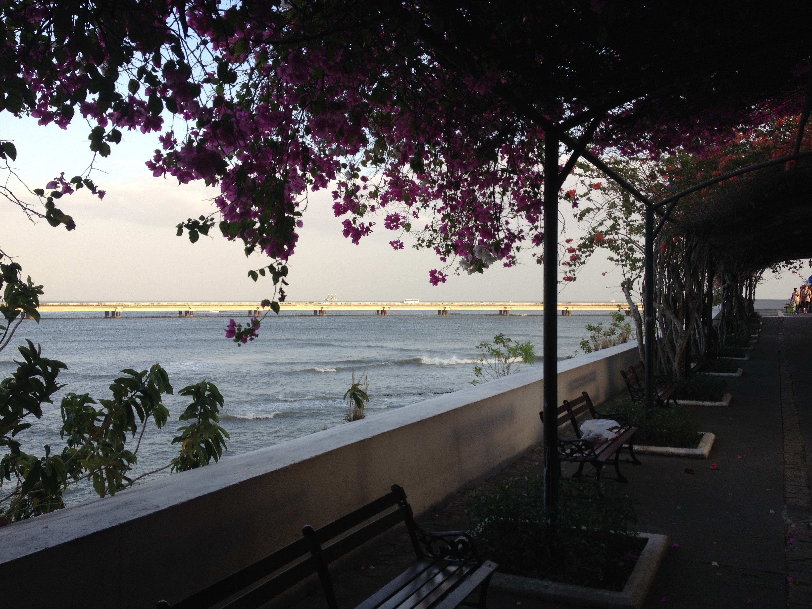 รูปถ่าย ปานามา(Panama) ปานามาซิตี(Panama City) 2015-03 42