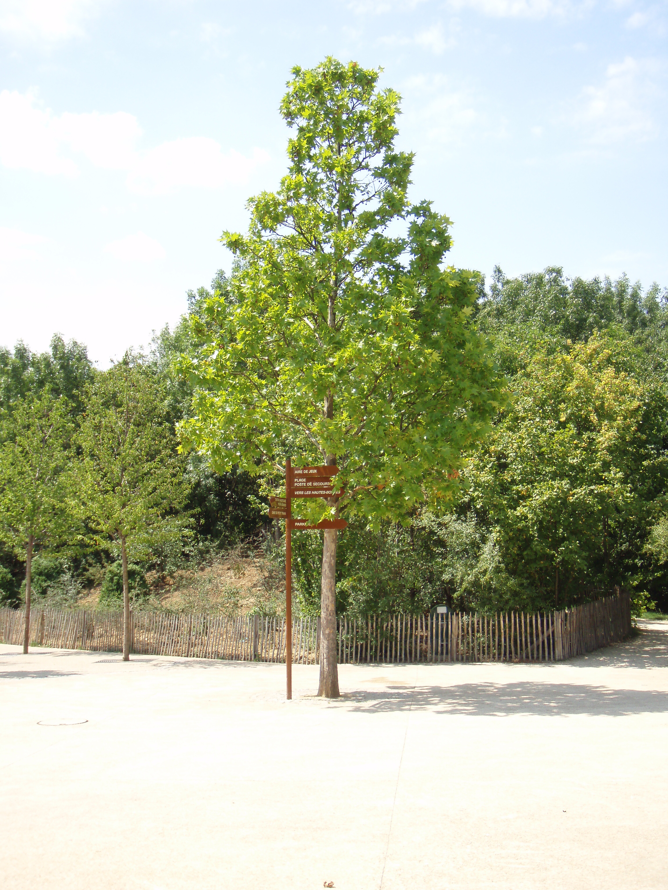 รูปถ่าย ฝรั่งเศส(France) วีลเนิฟ-ลา-การาน(Villeneuve La Garenne) สวนช็องเตอแรน(Parc des Chanteraines) 2007-07 3