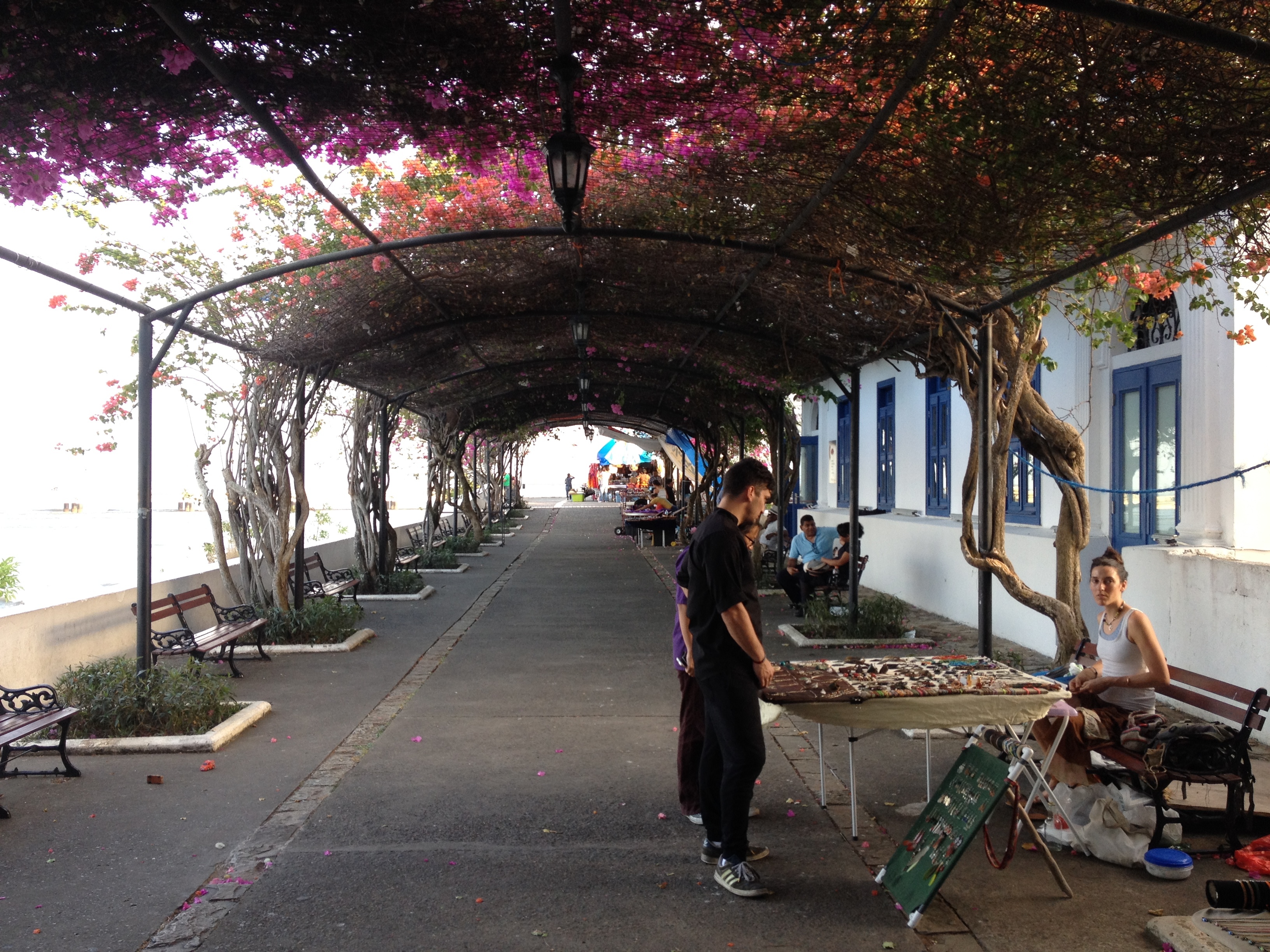 รูปถ่าย ปานามา(Panama) ปานามาซิตี(Panama City) 2015-03 43