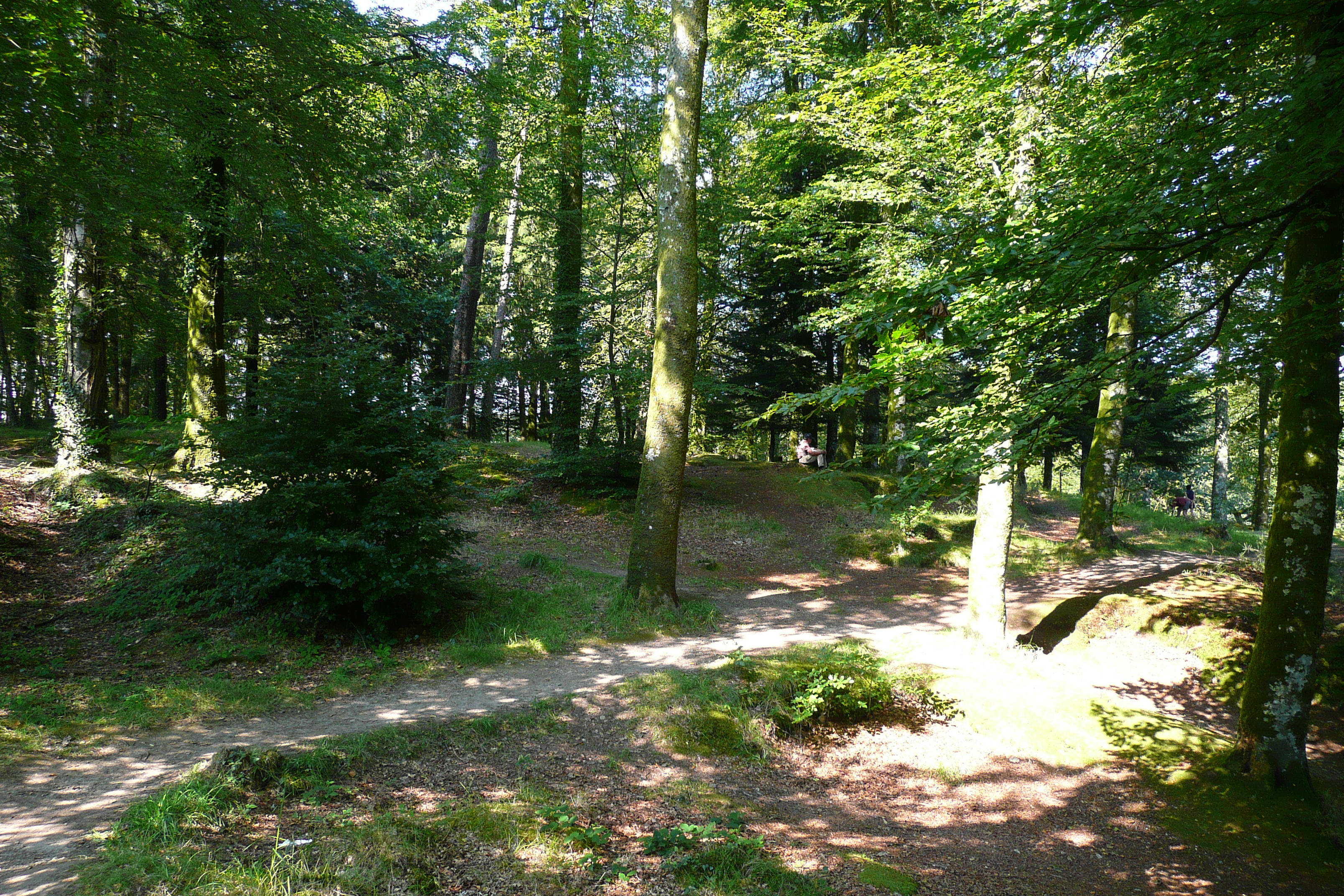 รูปถ่าย ฝรั่งเศส(France) อูแอลโกแอท(Huelgoat) 2007-08 179