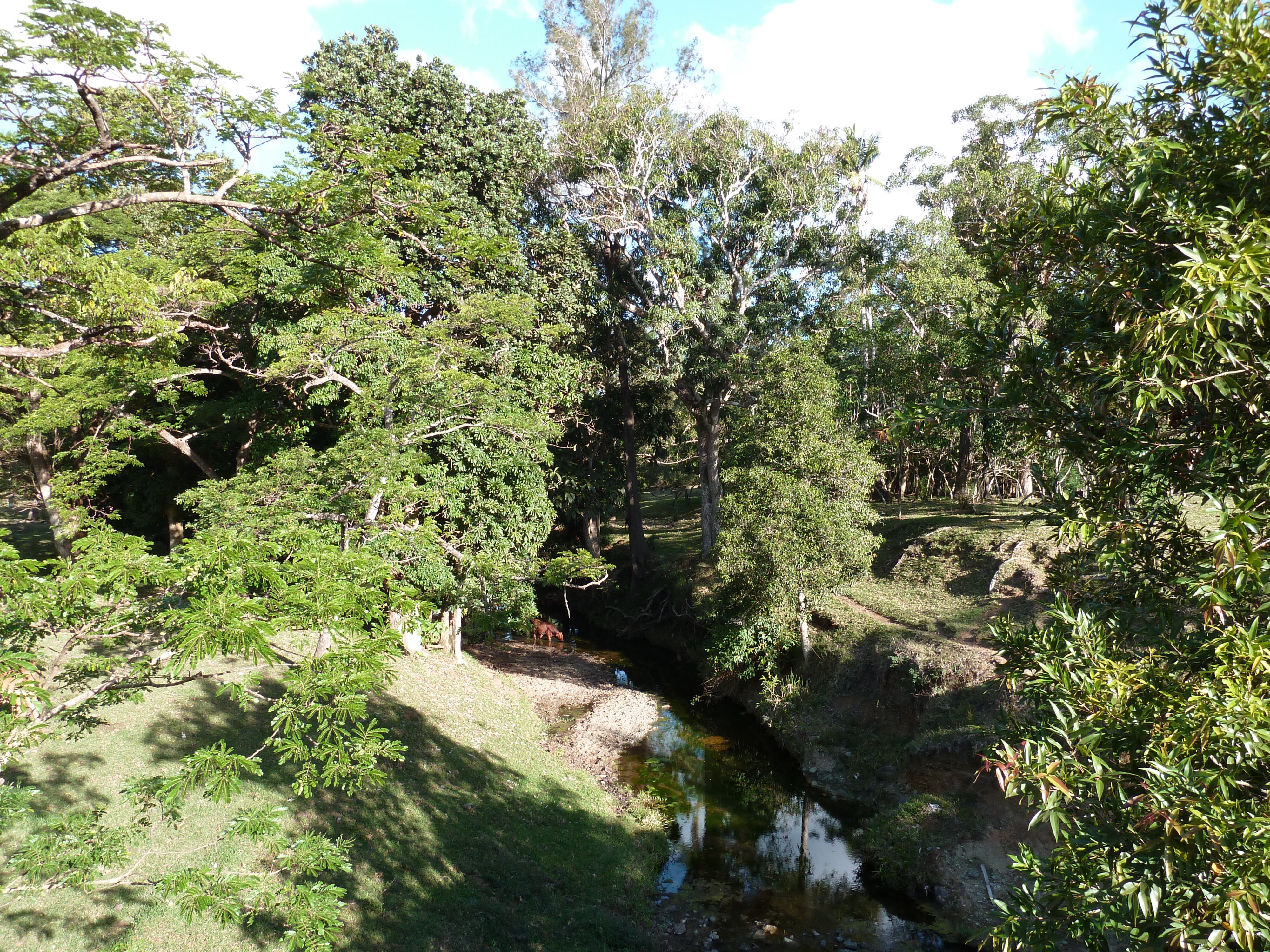 รูปถ่าย นิวแคลิโดเนีย(New Caledonia) ถนนจากกานาลาไปลาฟัว(Canala to La Foa road) 2010-05 2