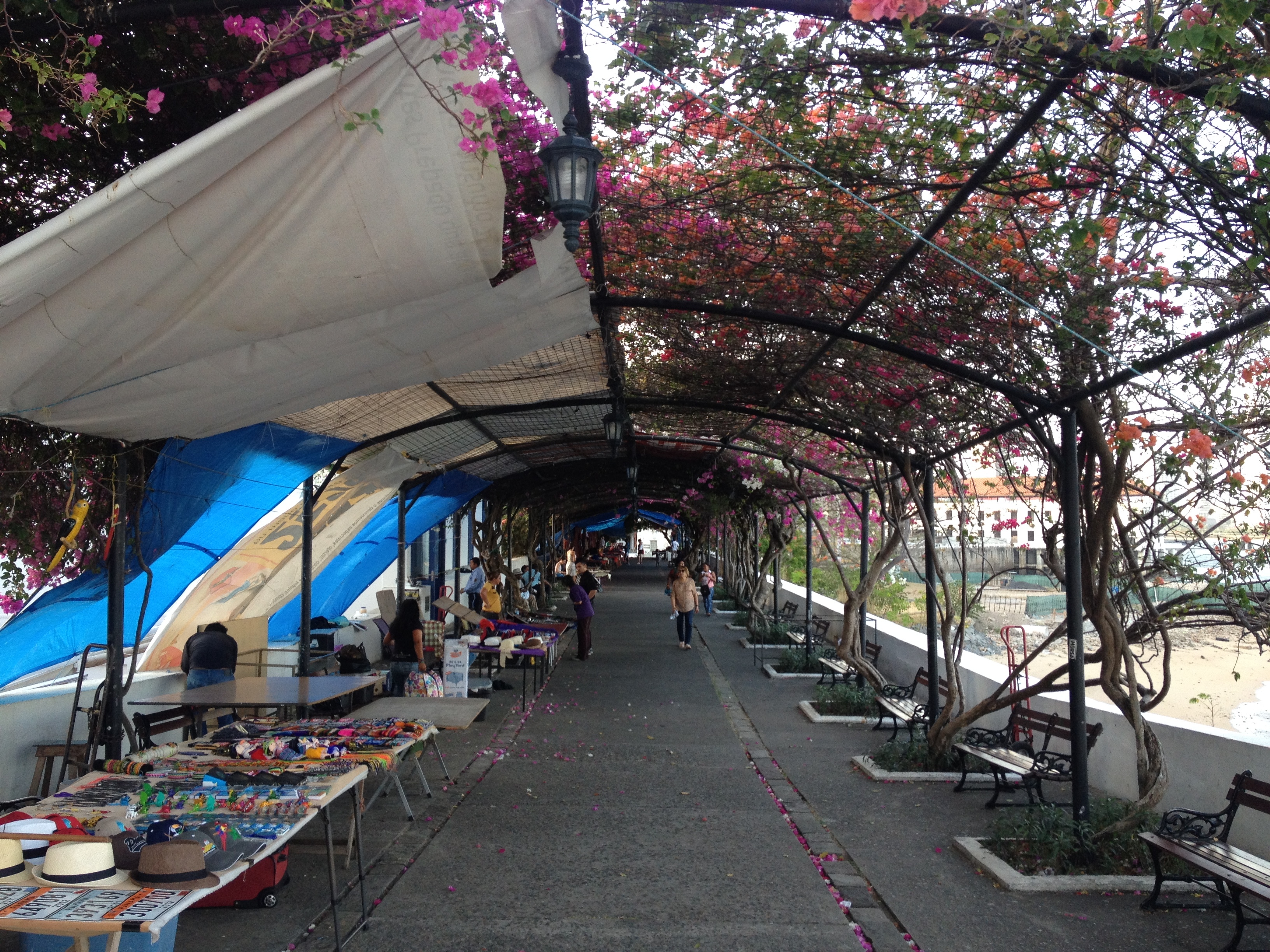 รูปถ่าย ปานามา(Panama) ปานามาซิตี(Panama City) 2015-03 257
