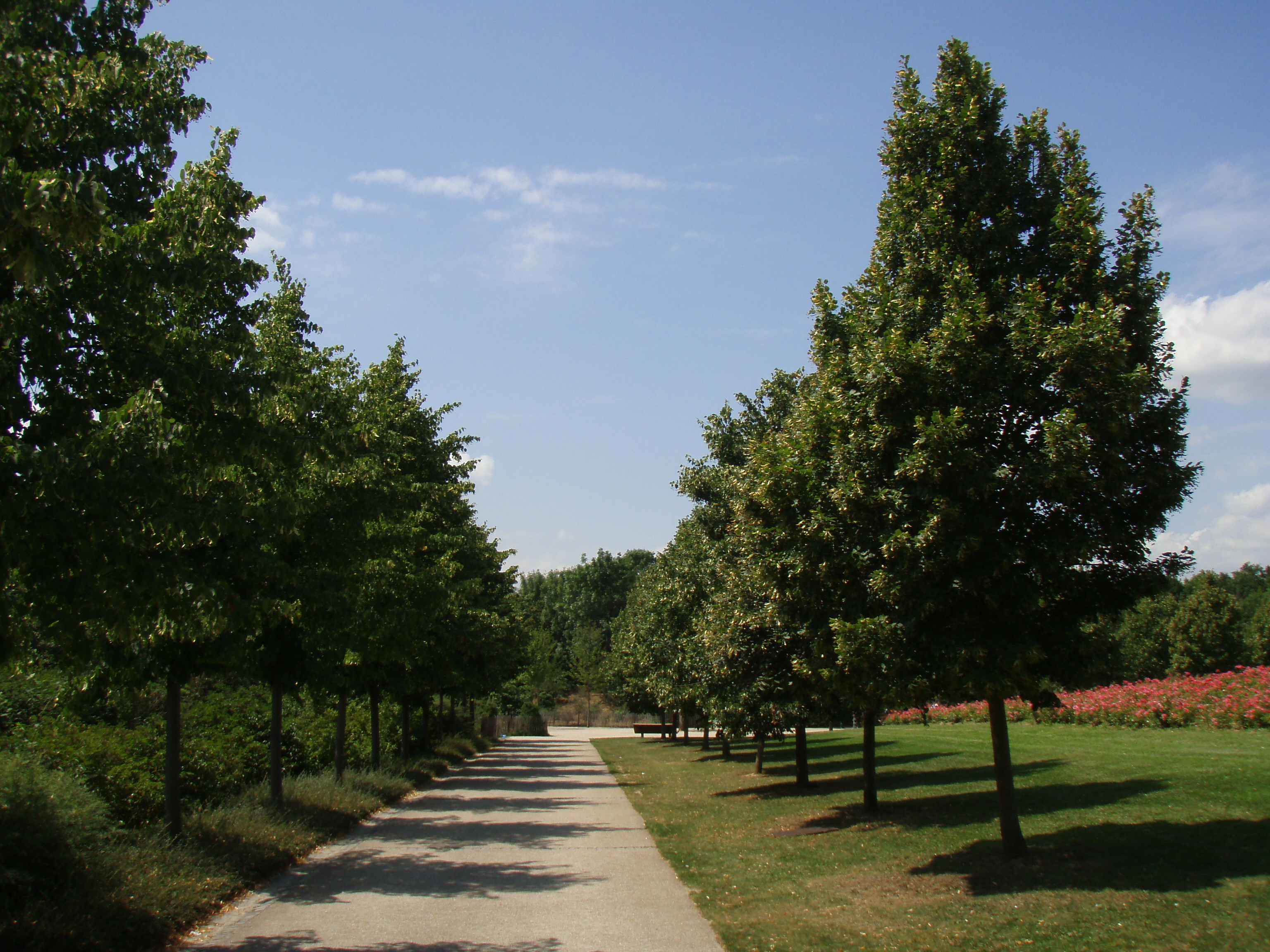 รูปถ่าย ฝรั่งเศส(France) วีลเนิฟ-ลา-การาน(Villeneuve La Garenne) สวนช็องเตอแรน(Parc des Chanteraines) 2007-07 15