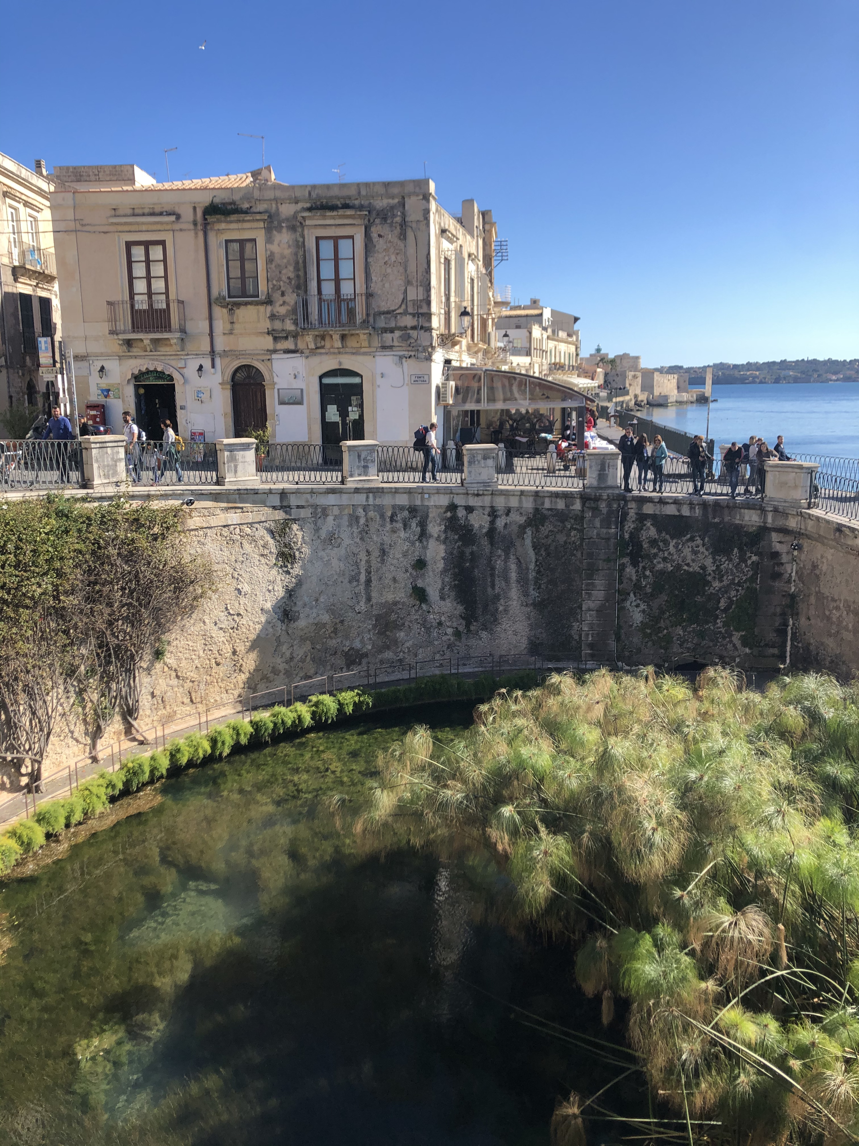 รูปถ่าย อิตาลี(Italy) ซิซิลี(Sicily) ออร์ตีเจีย(Ortigia) 2020-02 11