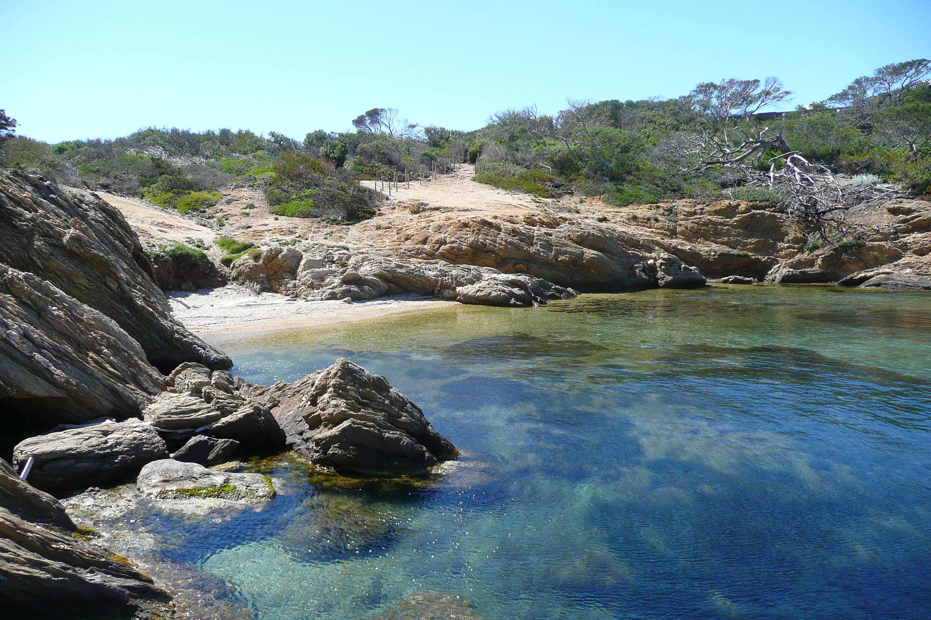 รูปถ่าย ฝรั่งเศส(France) เกาะปอร์เกอรอล(Porquerolles Island) แหลมเลอแก็ง(Pointe du Lequin) 2008-05 6