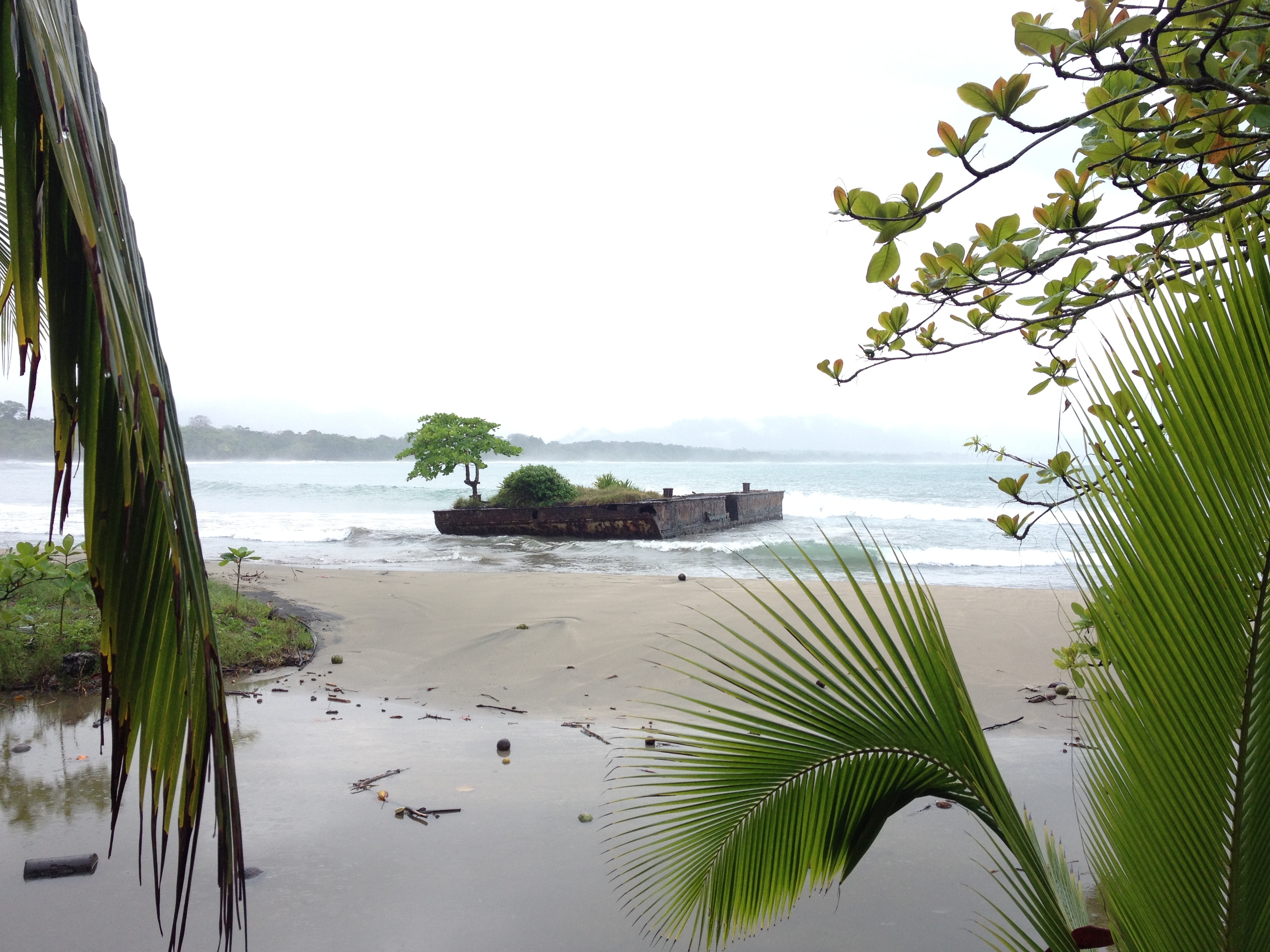 รูปถ่าย คอสตาริกา(Costa Rica) ปวยร์โตเบียโฆเดตาลามังกา(Puerto Viejo de Talamanca) 2015-03 142