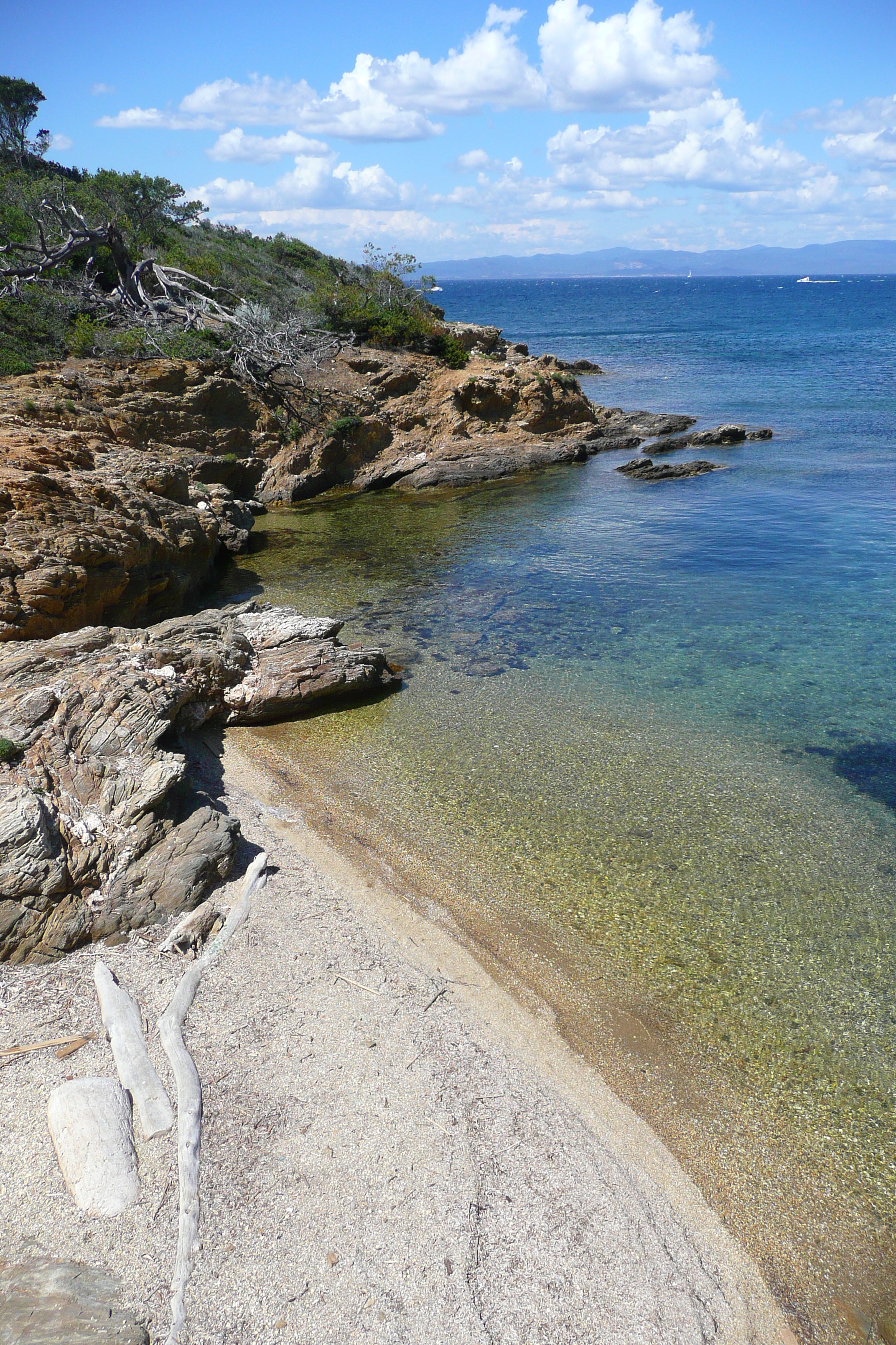 รูปถ่าย ฝรั่งเศส(France) เกาะปอร์เกอรอล(Porquerolles Island) แหลมเลอแก็ง(Pointe du Lequin) 2008-05 63