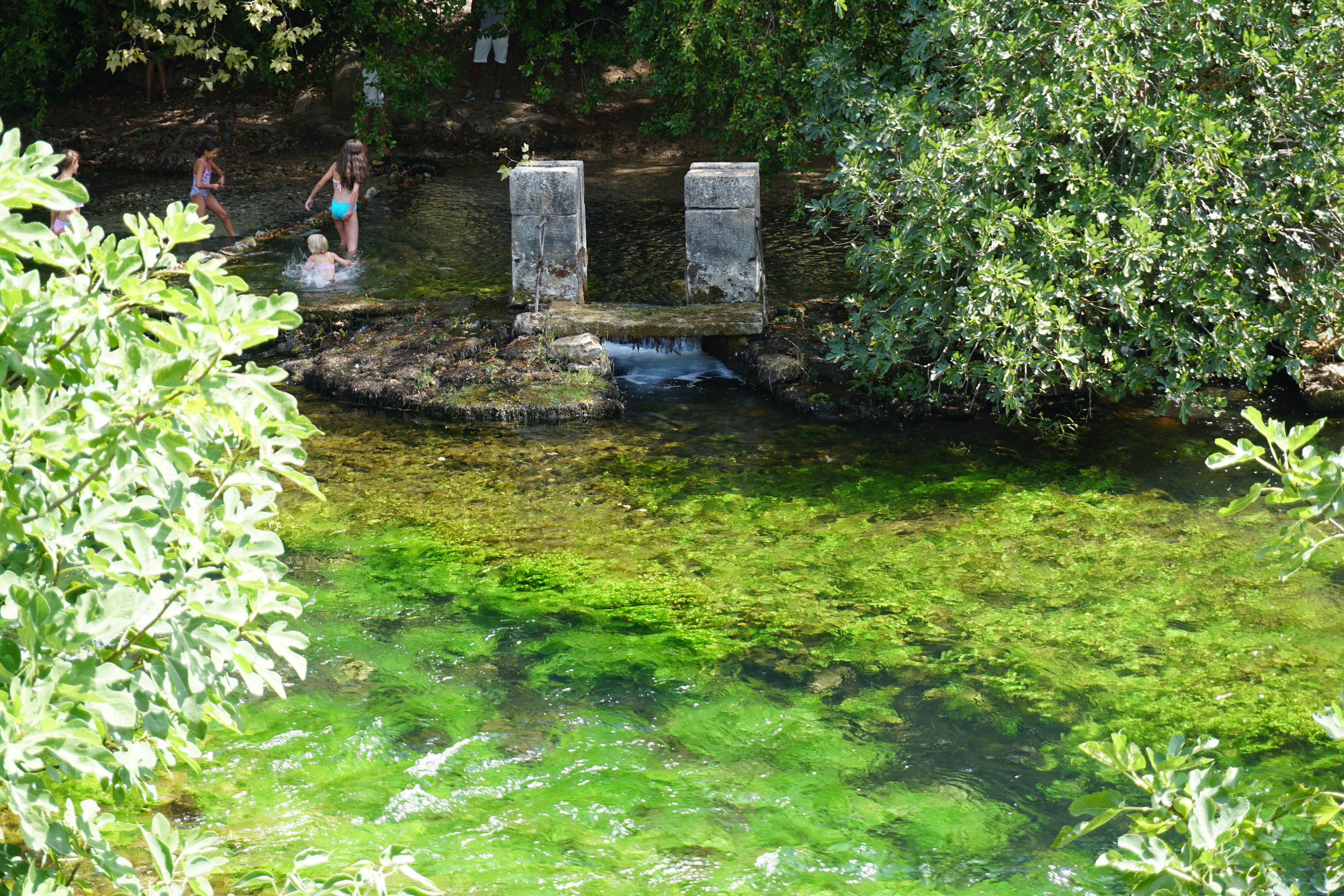 รูปถ่าย ฝรั่งเศส(France) ฟงแตน-เดอ-โวกลูซ(Fontaine-de-Vaucluse) 2017-08 22