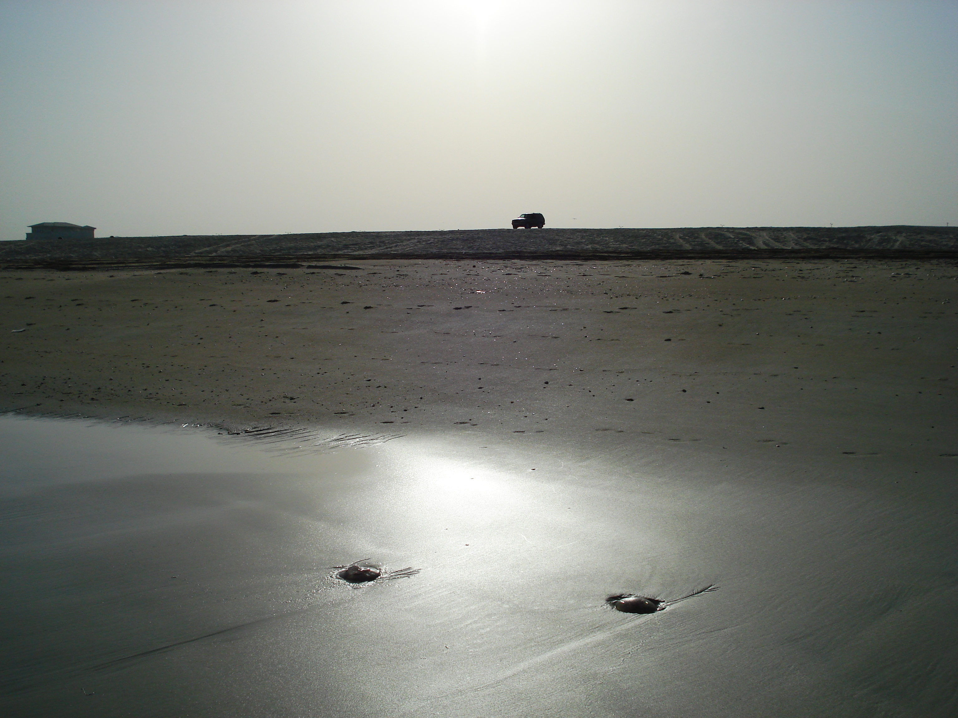 รูปถ่าย สหรัฐอาหรับเอมิเรตส์(United Arab Emirates) ดูไบ(Dubai) หาดจุมัยเราะห์(Jumeirah Beach) 2007-03 7