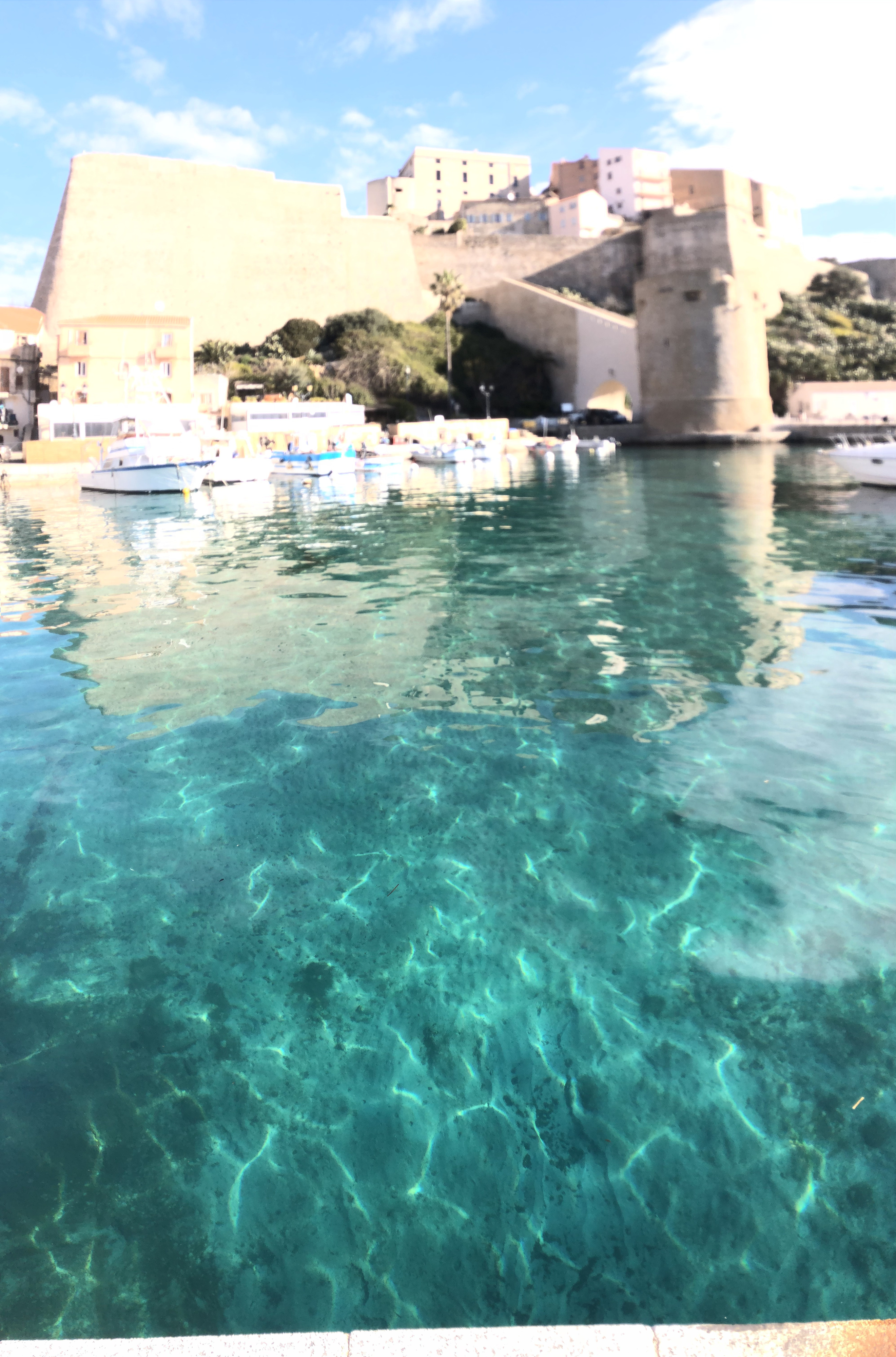 รูปถ่าย ฝรั่งเศส(France) คอร์สิคา(Corsica) 2021-05 15