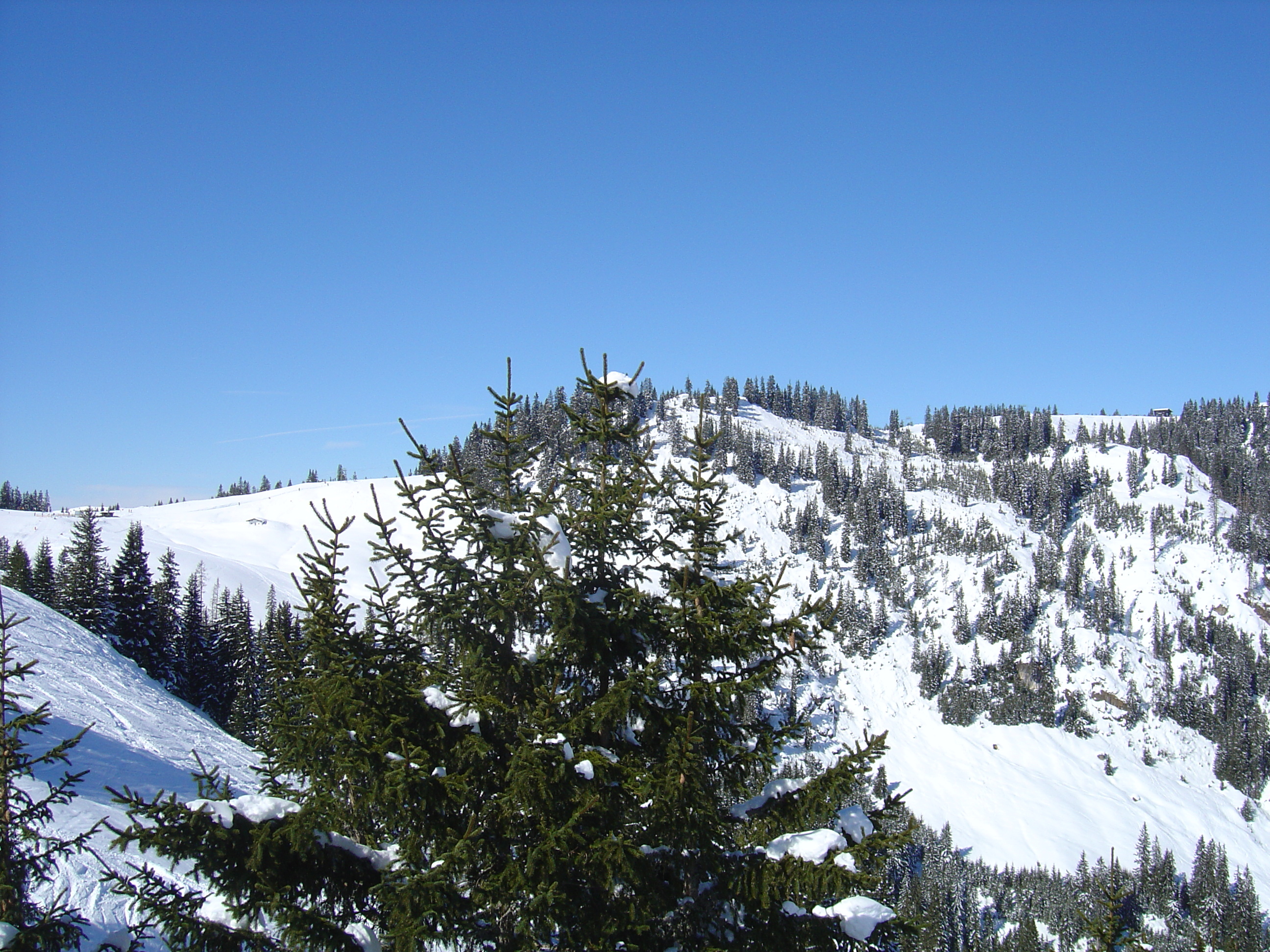 รูปถ่าย ออสเตรีย(Austria) คิทซ์บูเฮล(Kitzbuhel) สกี(Ski) 2005-03 73