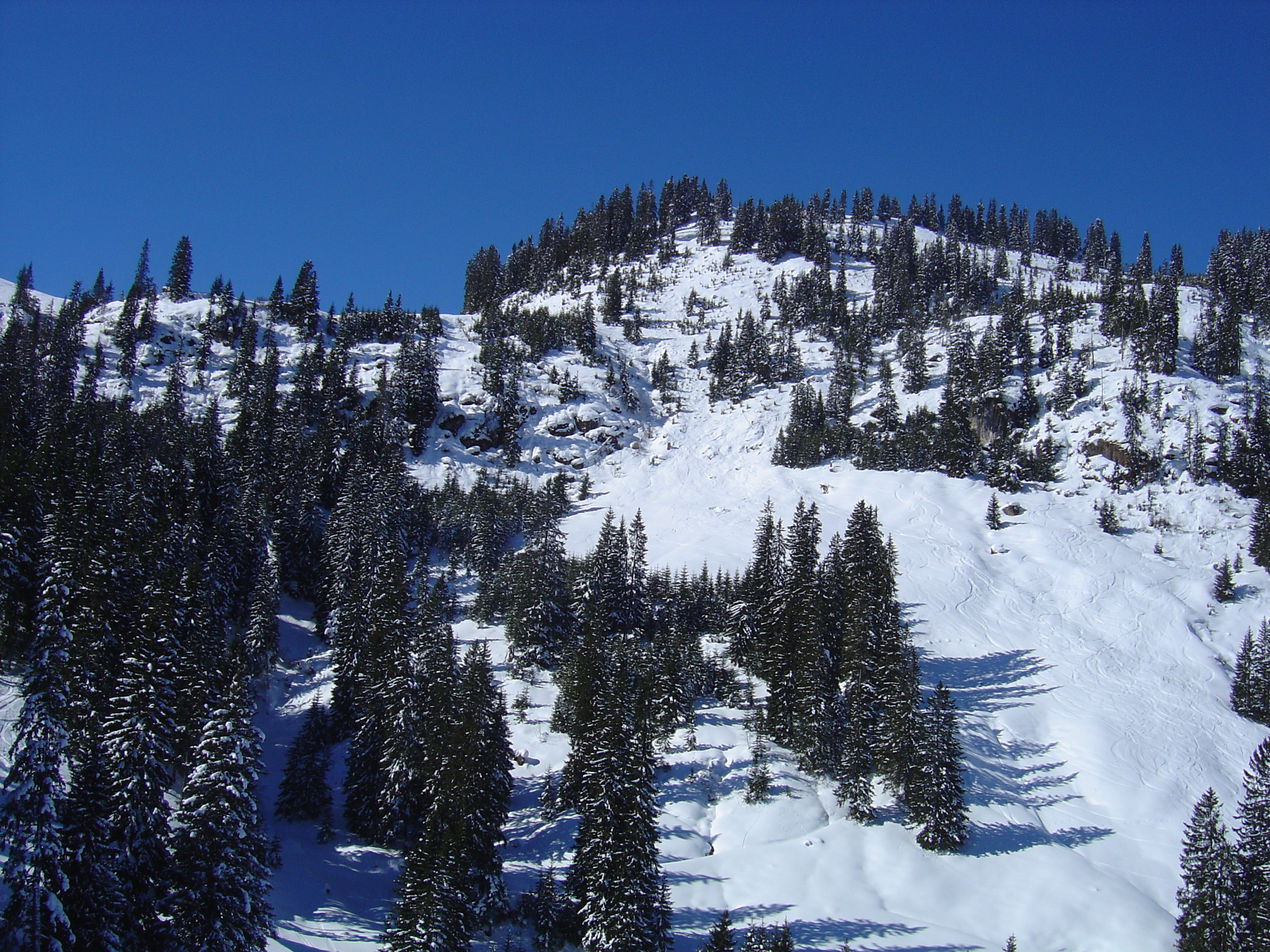 รูปถ่าย ออสเตรีย(Austria) คิทซ์บูเฮล(Kitzbuhel) สกี(Ski) 2005-03 53