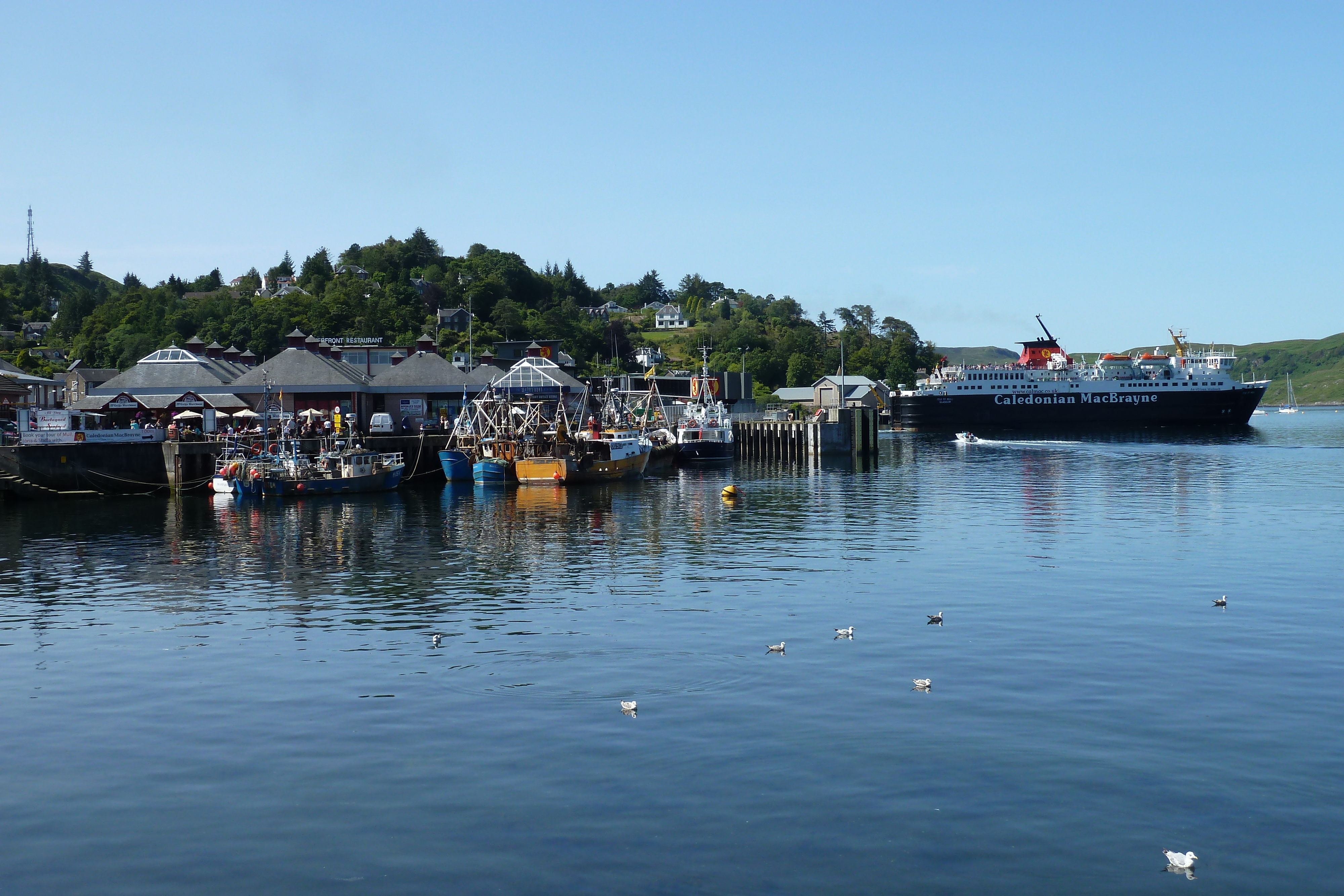 รูปถ่าย อังกฤษ(United Kingdom) สกอตแลนด์(Scotland) โอบัน(Oban) 2011-07 42