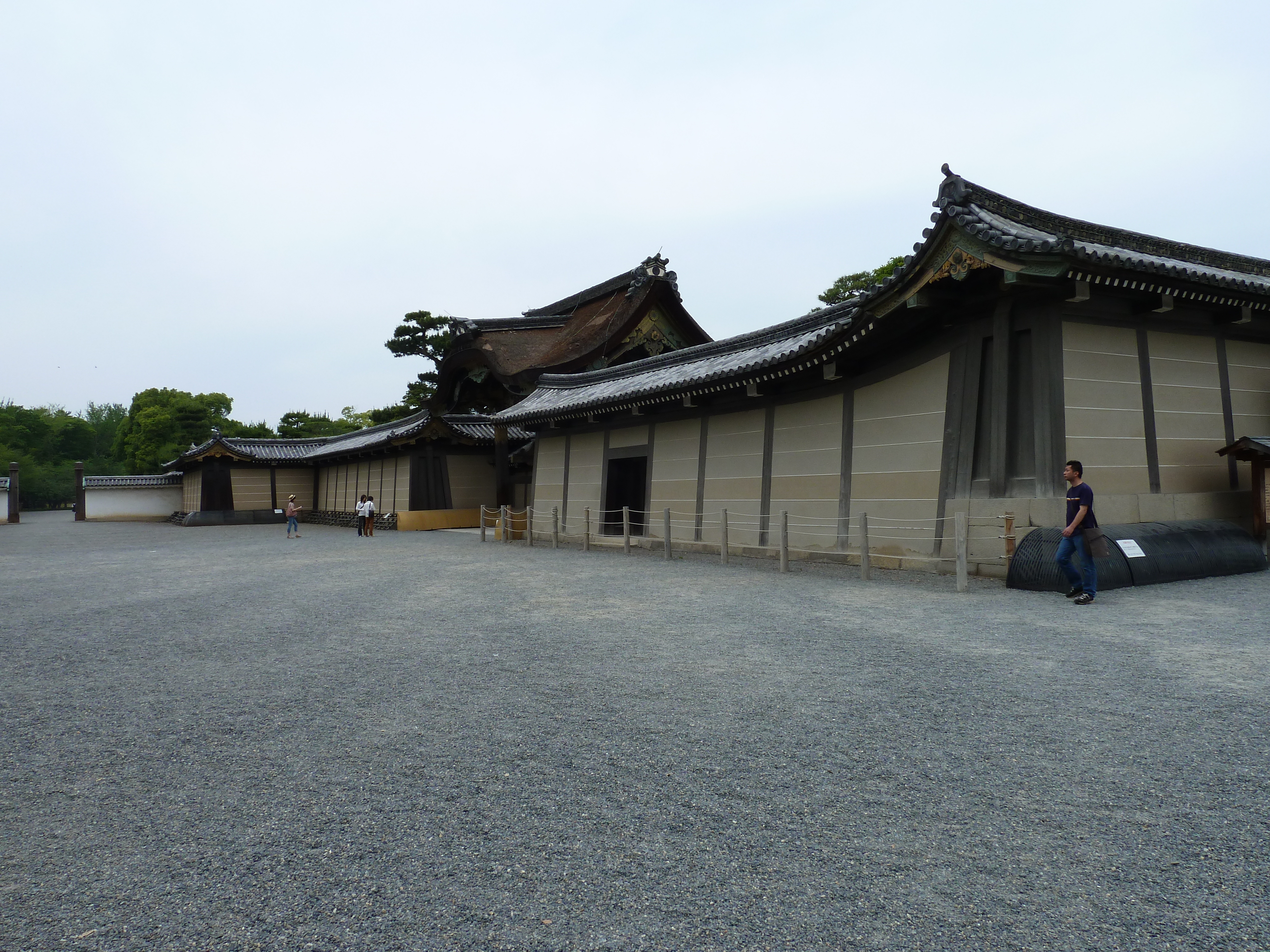 รูปถ่าย ญี่ปุ่น(Japan) เกียวโต(Kyoto) ปราสาทนิโจ(Nijo Castle) 2010-06 18