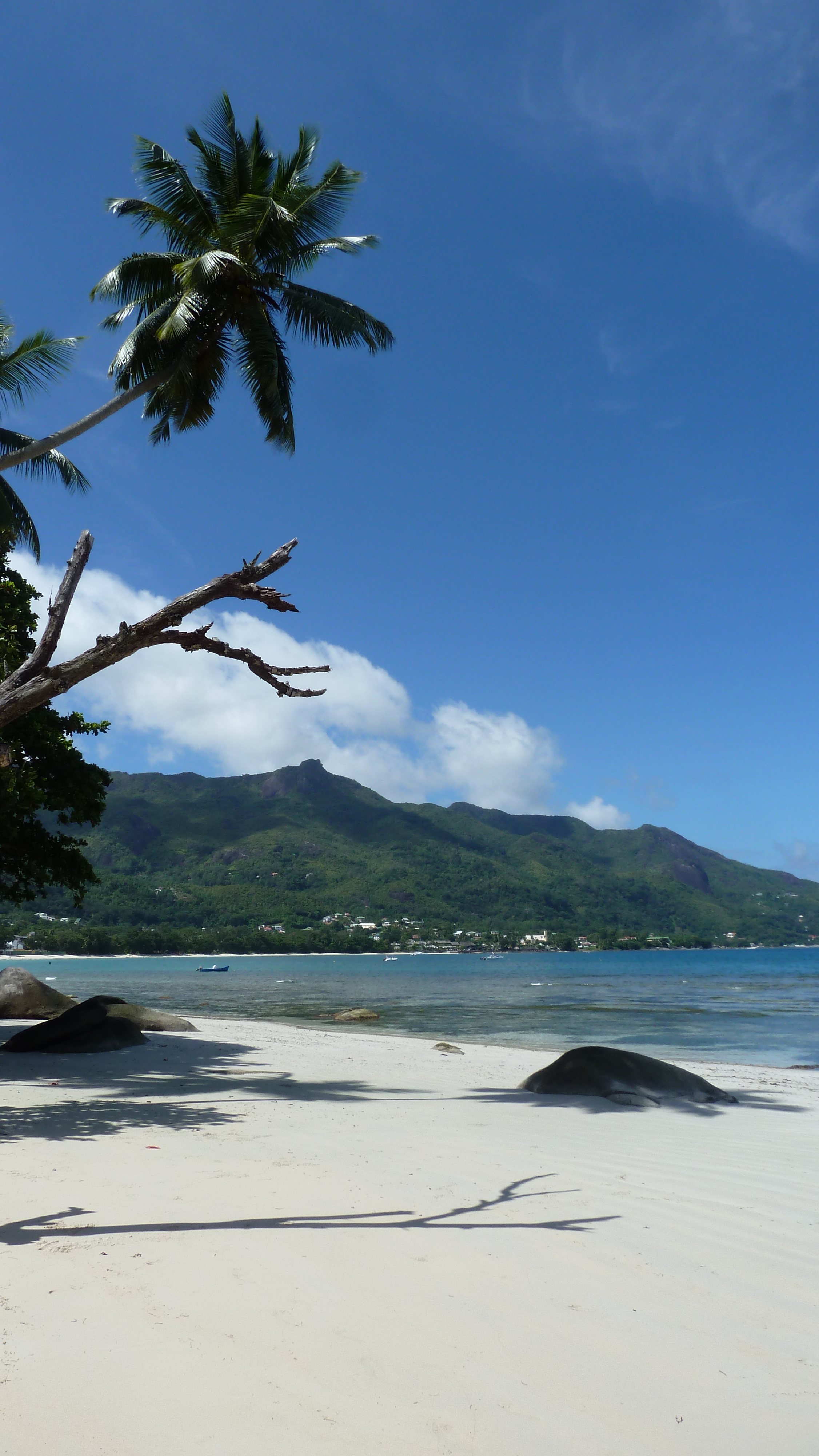 รูปถ่าย เซเชลส์(Seychelles) 2011-10 69