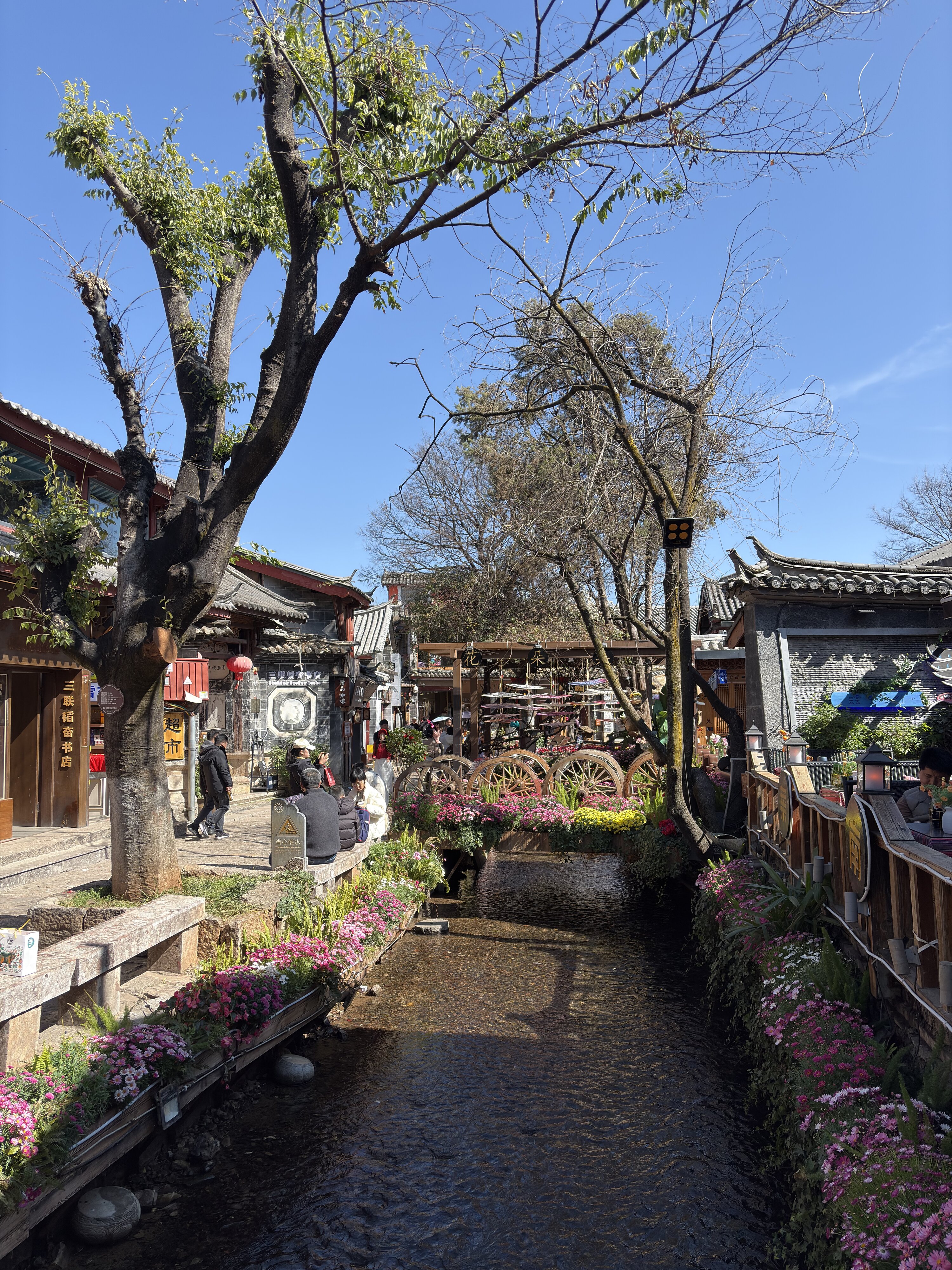 รูปถ่าย จีน(China) ลี่เจียง(Lijiang) 2026-01 313