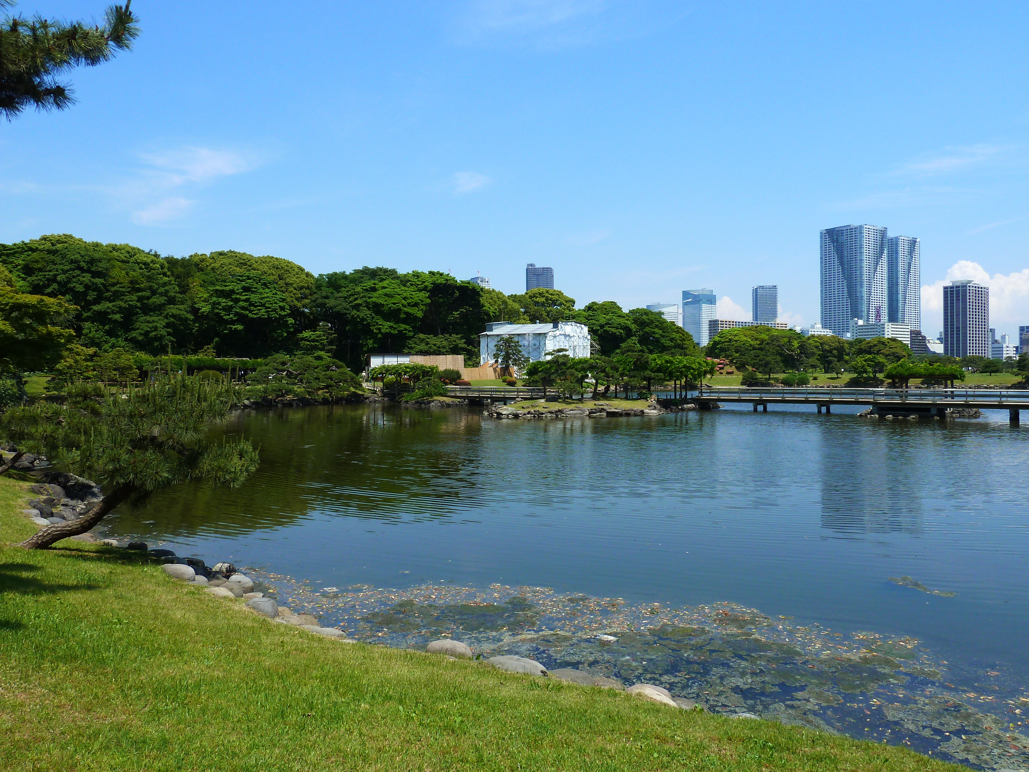 รูปถ่าย ญี่ปุ่น(Japan) โตเกียว(Tokyo) สวนฮามะริคิว(Hama rikyu Gardens) 2010-06 36