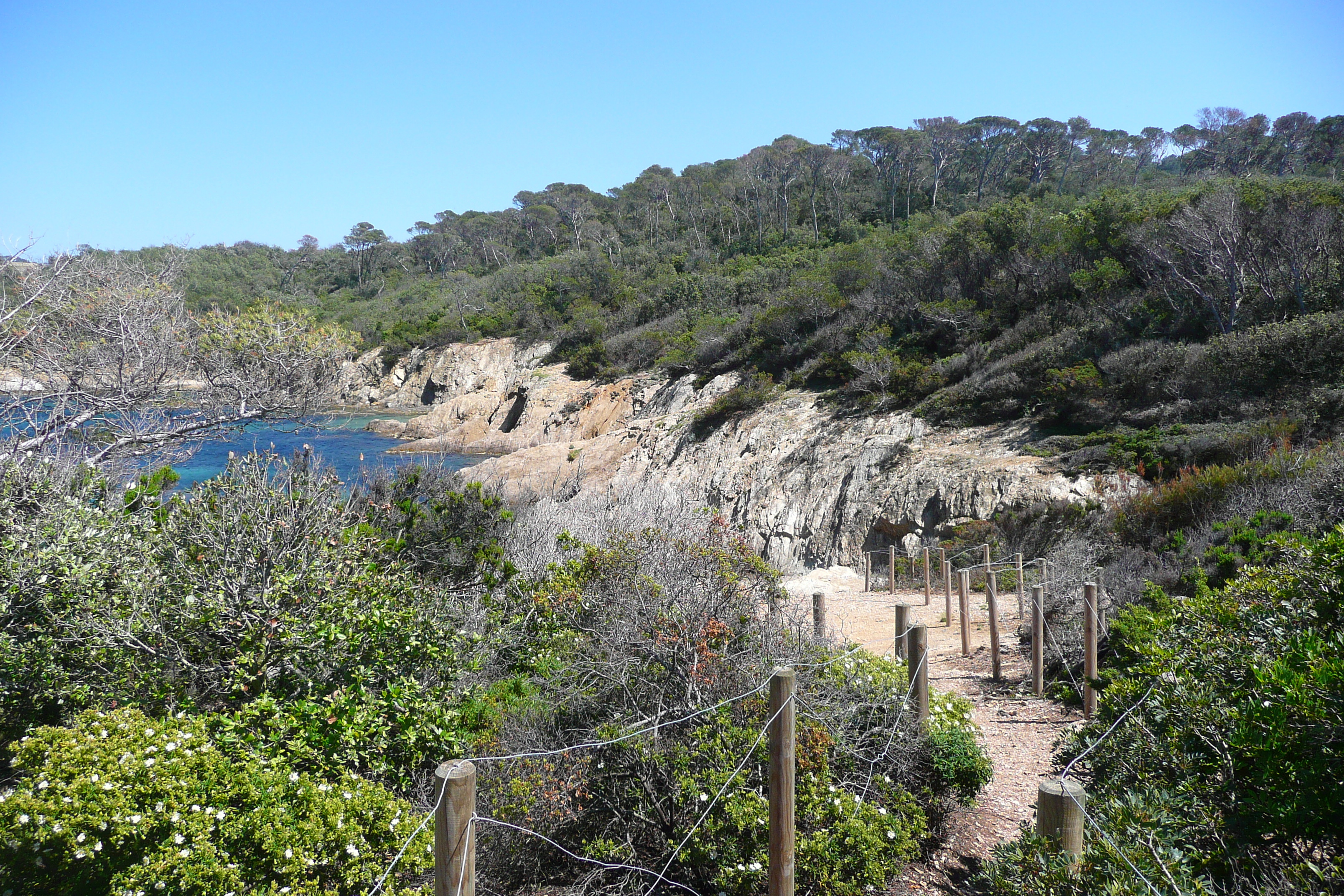 รูปถ่าย ฝรั่งเศส(France) เกาะปอร์เกอรอล(Porquerolles Island) แหลมเลอแก็ง(Pointe du Lequin) 2008-05 8