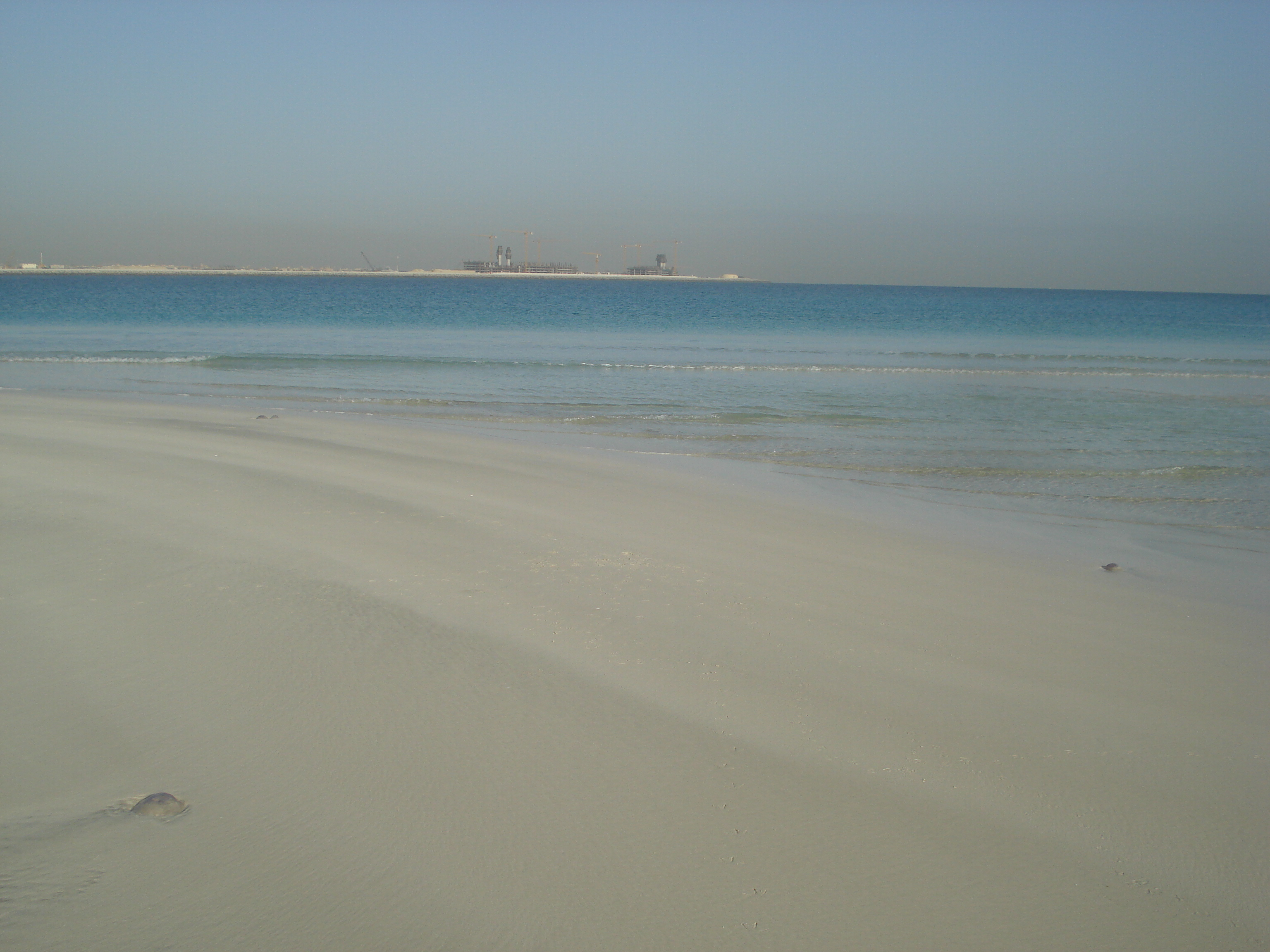 รูปถ่าย สหรัฐอาหรับเอมิเรตส์(United Arab Emirates) ดูไบ(Dubai) หาดจุมัยเราะห์(Jumeirah Beach) 2007-03 34