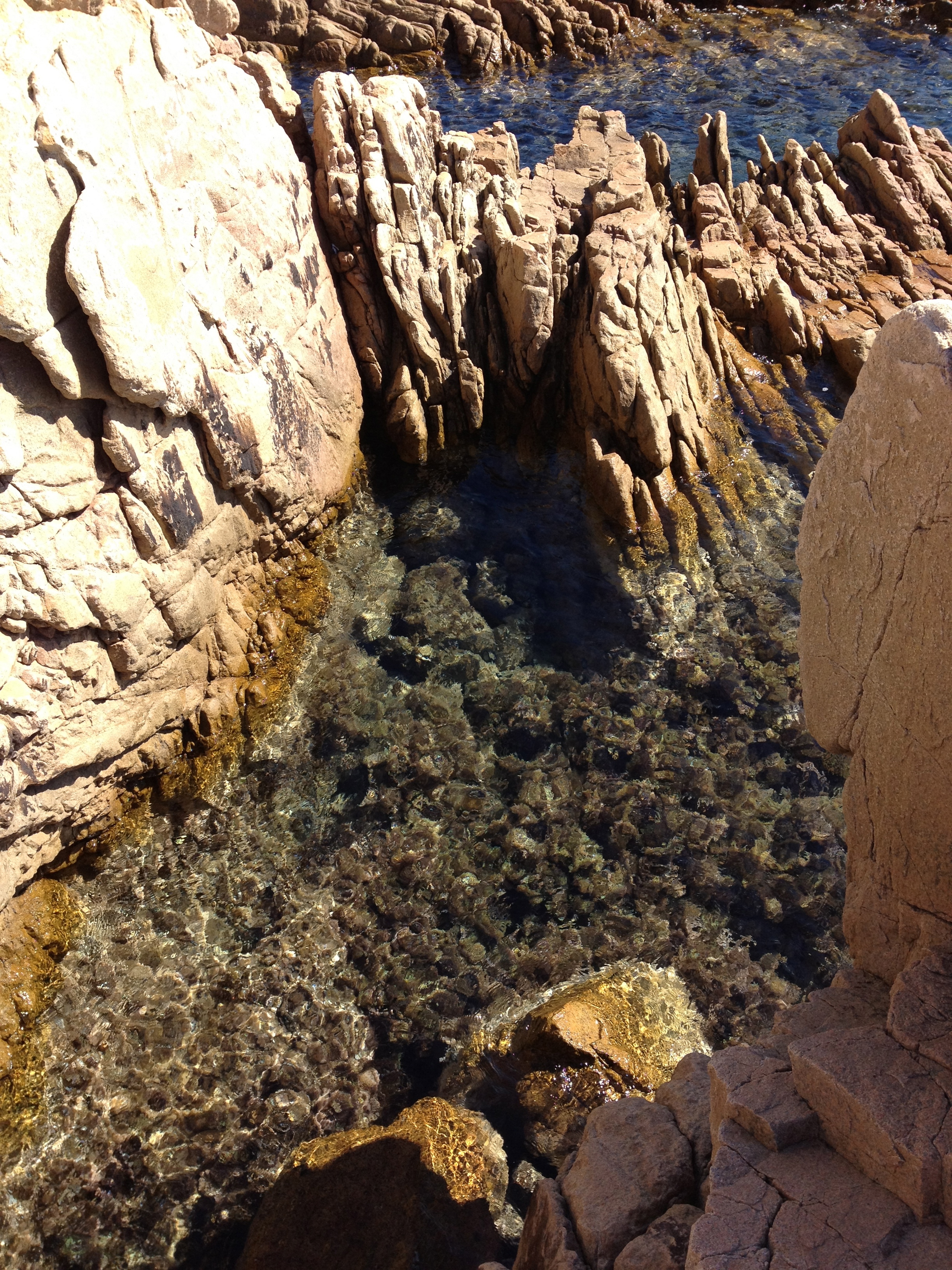 รูปถ่าย อิตาลี(Italy) อ่าวกาลาลุงกา(Cala Lunga) 2012-09 37