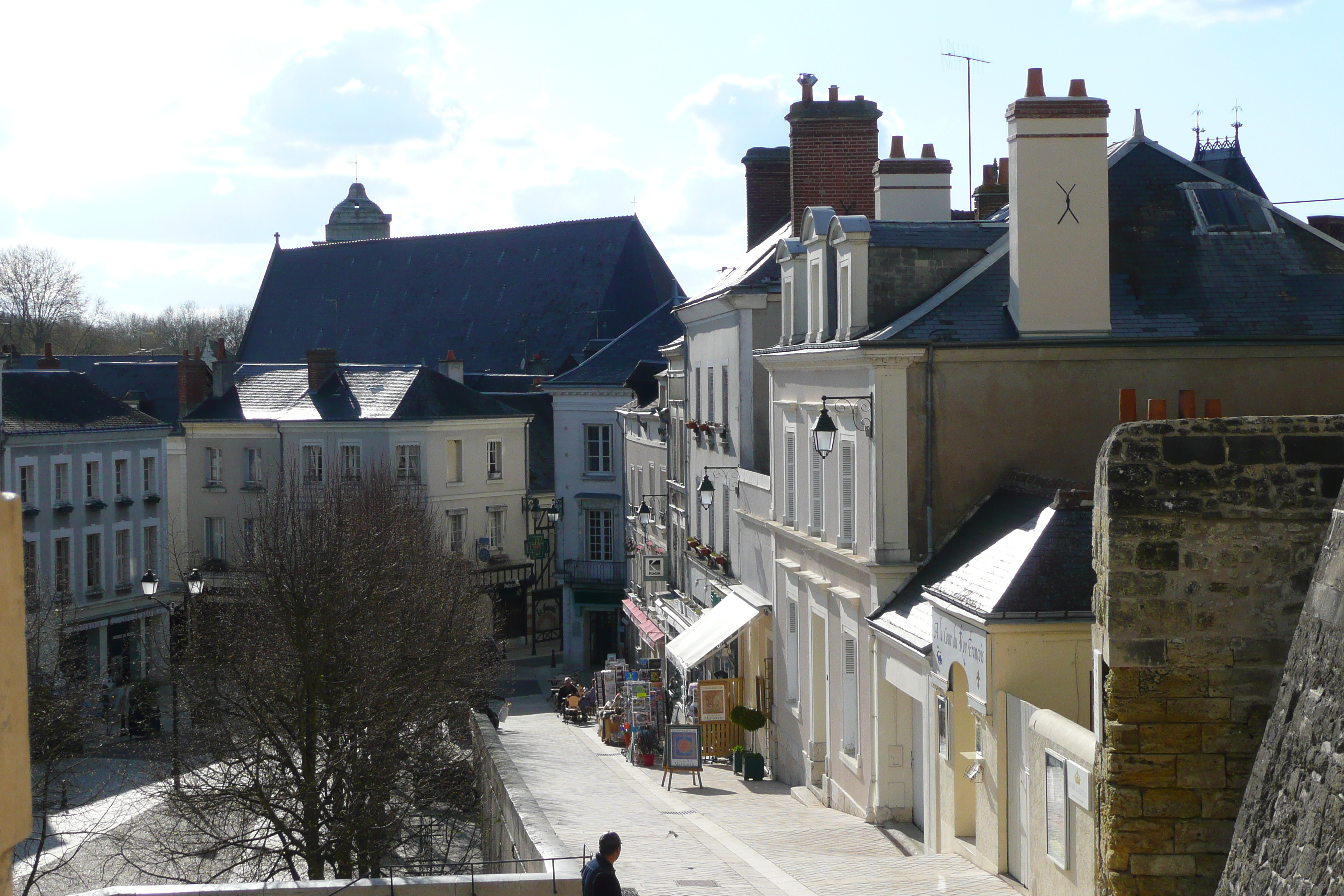 รูปถ่าย ฝรั่งเศส(France) อ็องบวซ(Amboise) 2008-04 29