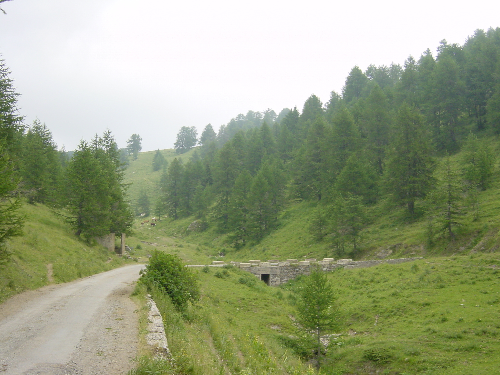 รูปถ่าย ฝรั่งเศส(France) แมร์กองตูร์(Mercantour) 2003-07 54