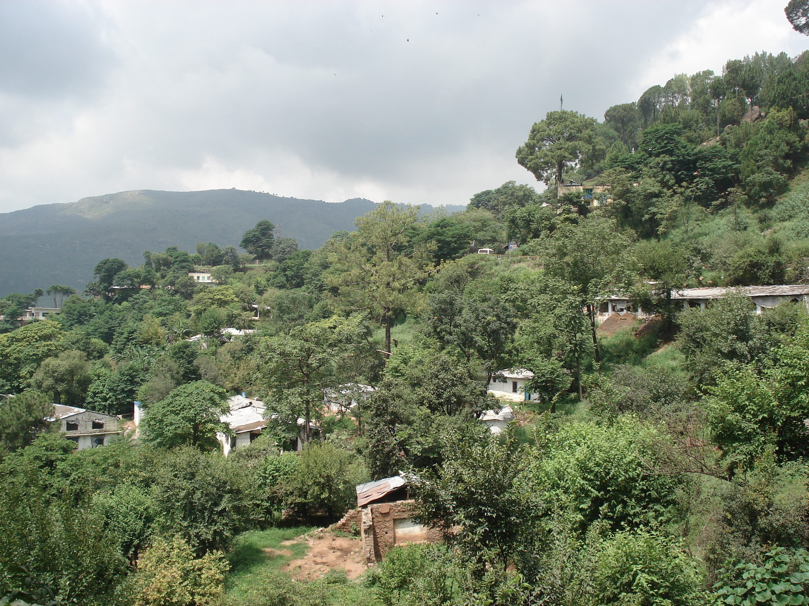รูปถ่าย ปากีสถาน(Pakistan) ถนนจากอิสลามาบัดไปมัรรี(Islamabad to Murree road) 2006-08 6