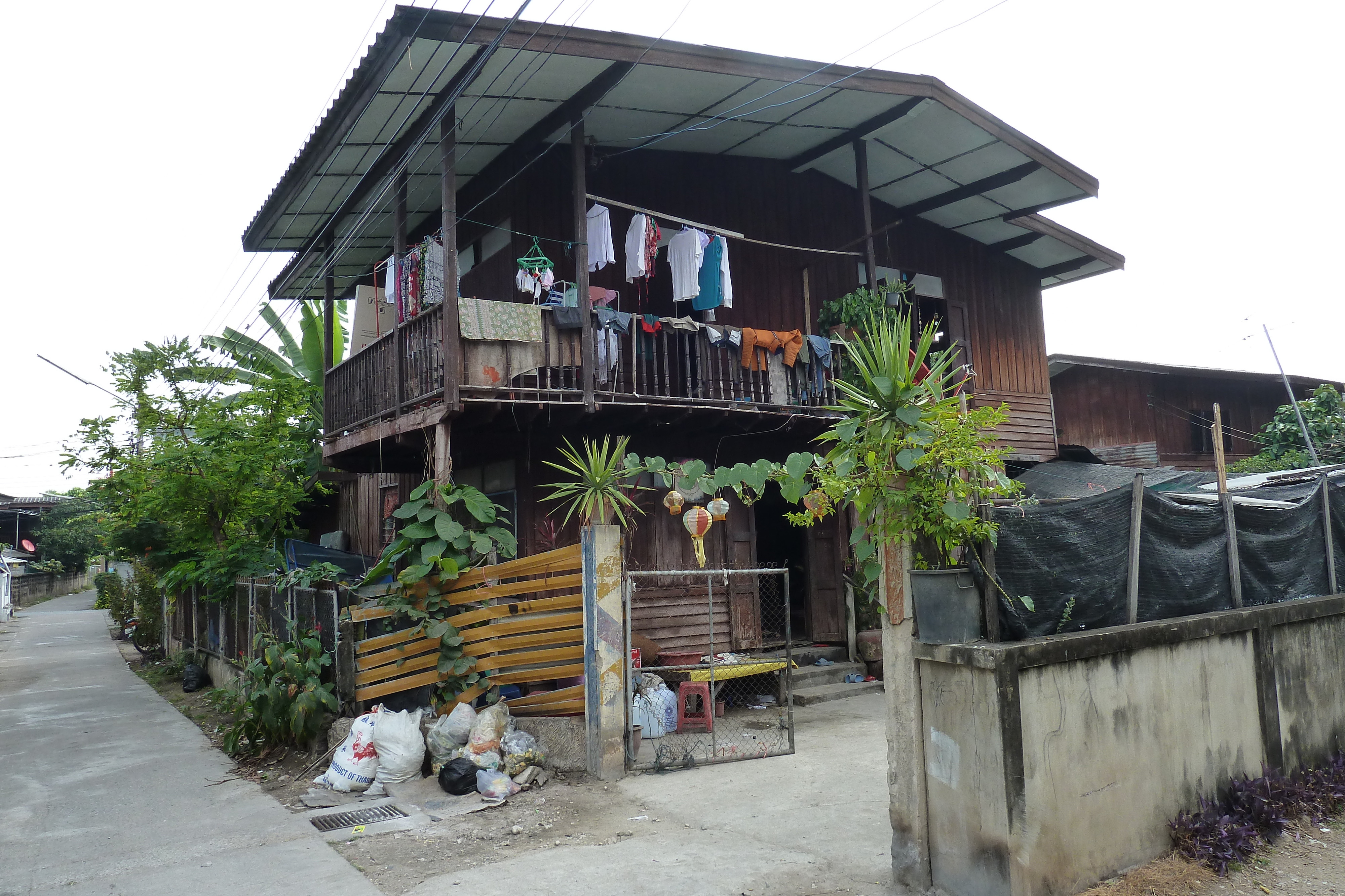 รูปถ่าย ไทย(Thailand) เชียงใหม่(Chiang Mai) 2010-12 60