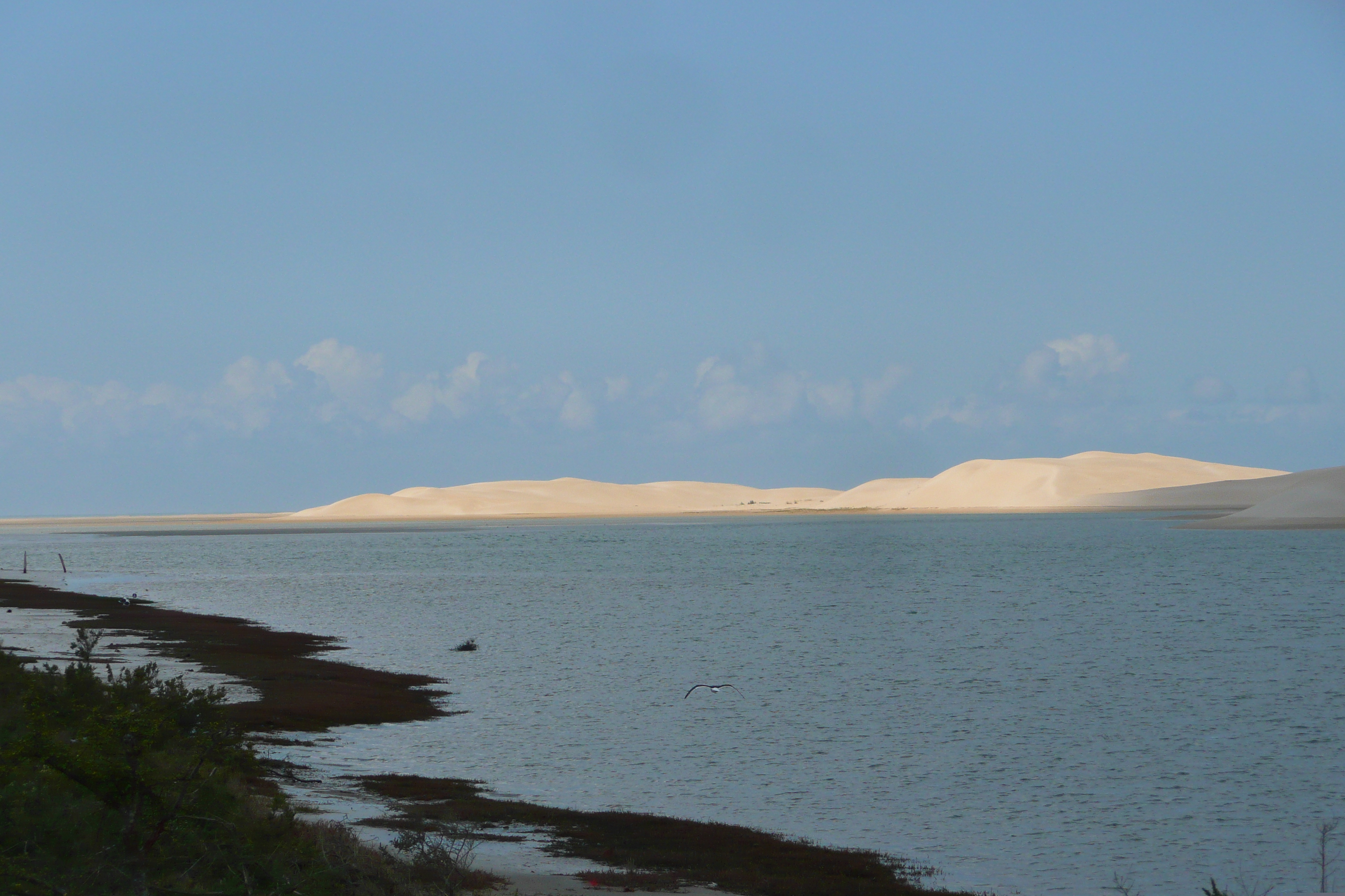 รูปถ่าย แอฟริกาใต้(South Africa) แม่น้ำซันเดส์(Sundays River) 2008-09 70