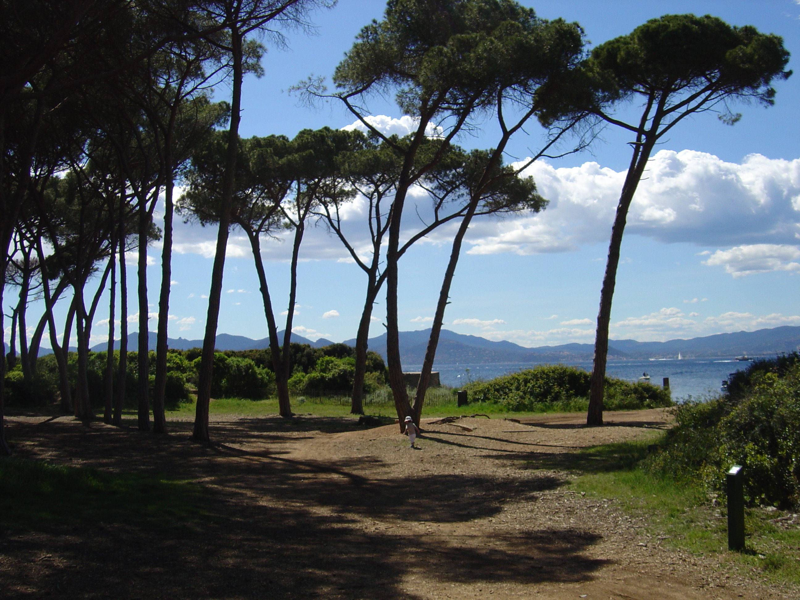 รูปถ่าย ฝรั่งเศส(France) คานส์(Cannes) เกาะแซ็งต์-มาร์เกอริต(Sainte Marguerite) 2004-05 61