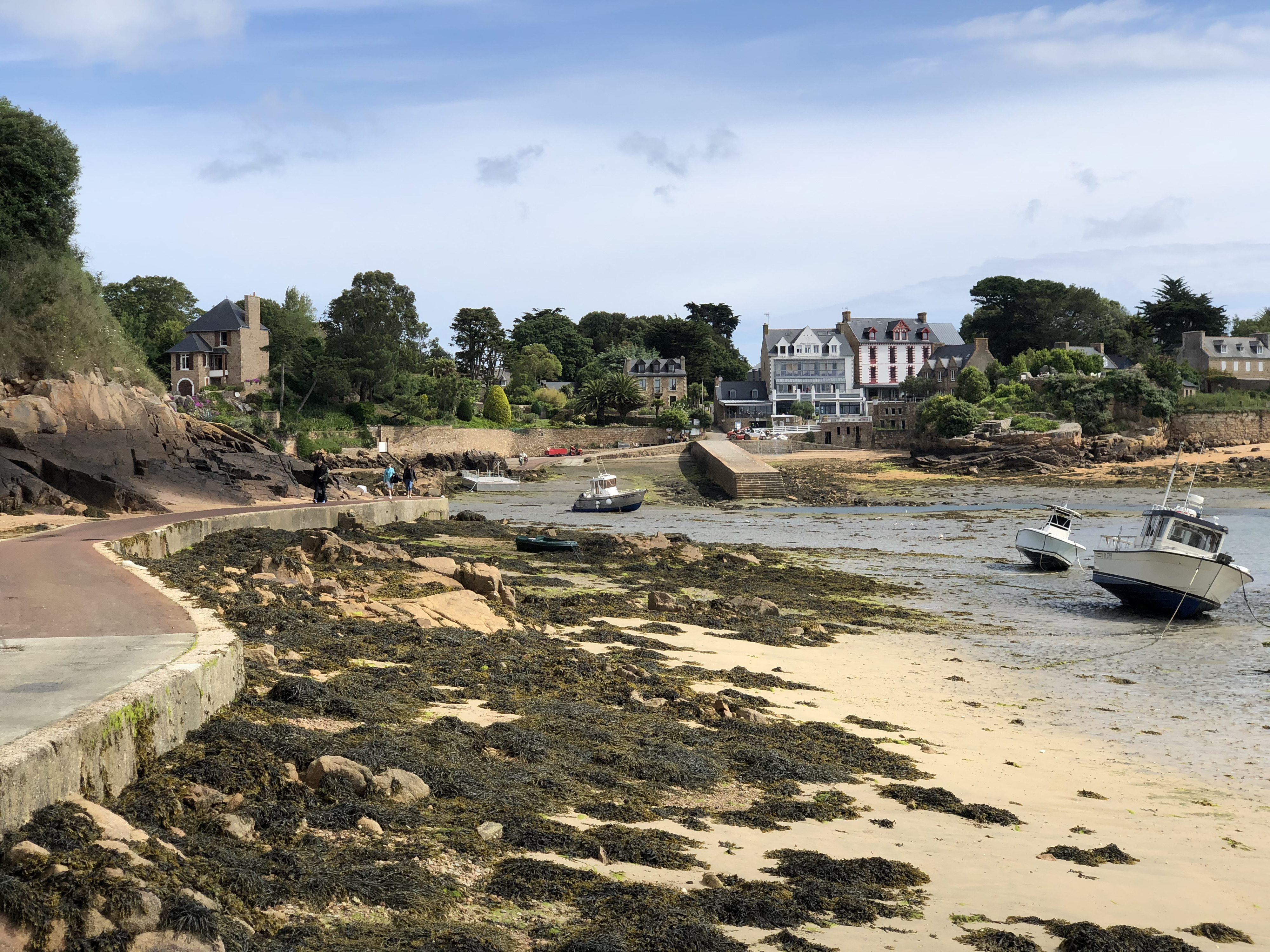 รูปถ่าย ฝรั่งเศส(France) เกาะเบรอา(Brehat Island) 2020-06 167
