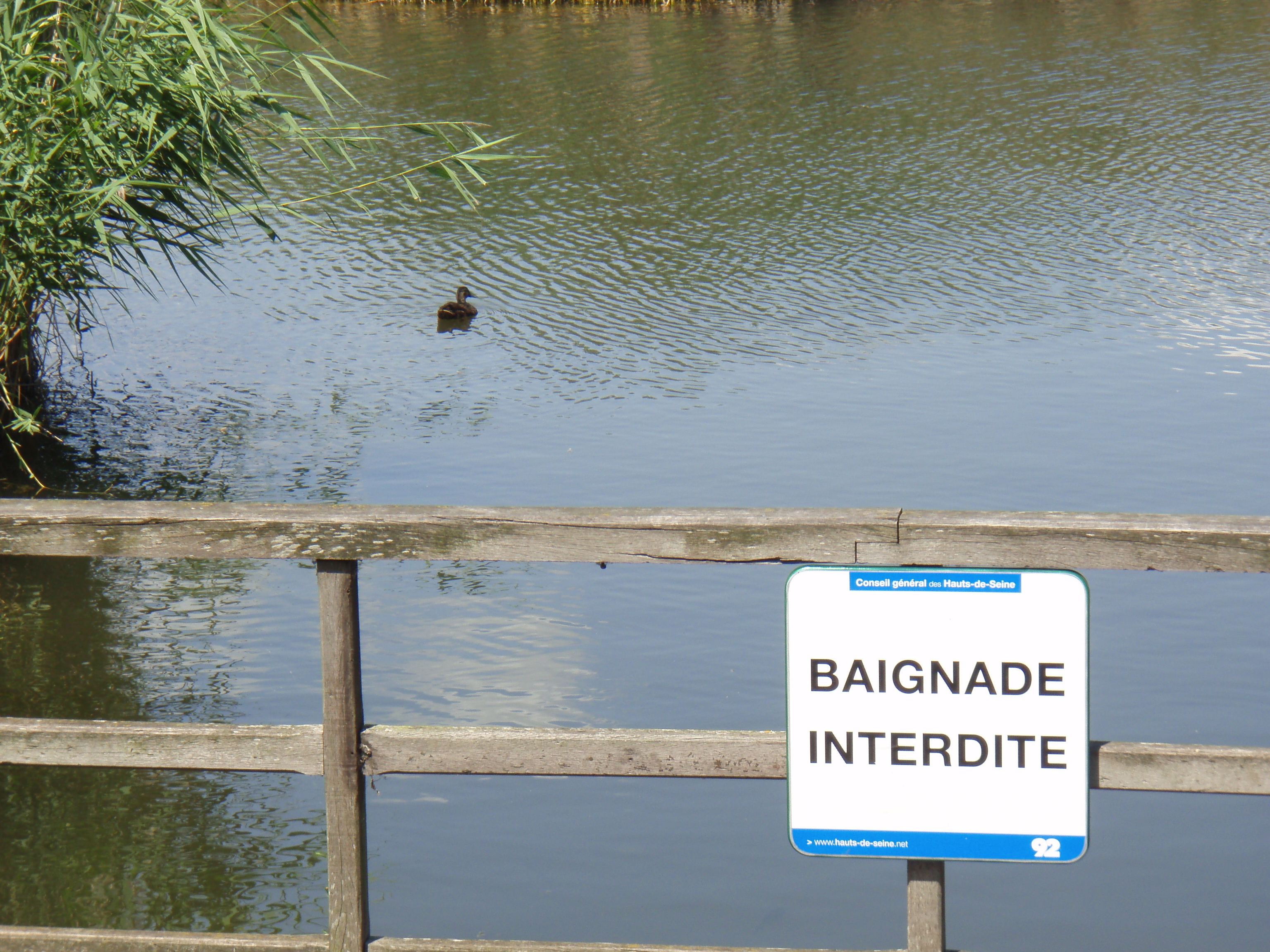 รูปถ่าย ฝรั่งเศส(France) วีลเนิฟ-ลา-การาน(Villeneuve La Garenne) สวนช็องเตอแรน(Parc des Chanteraines) 2007-07 55