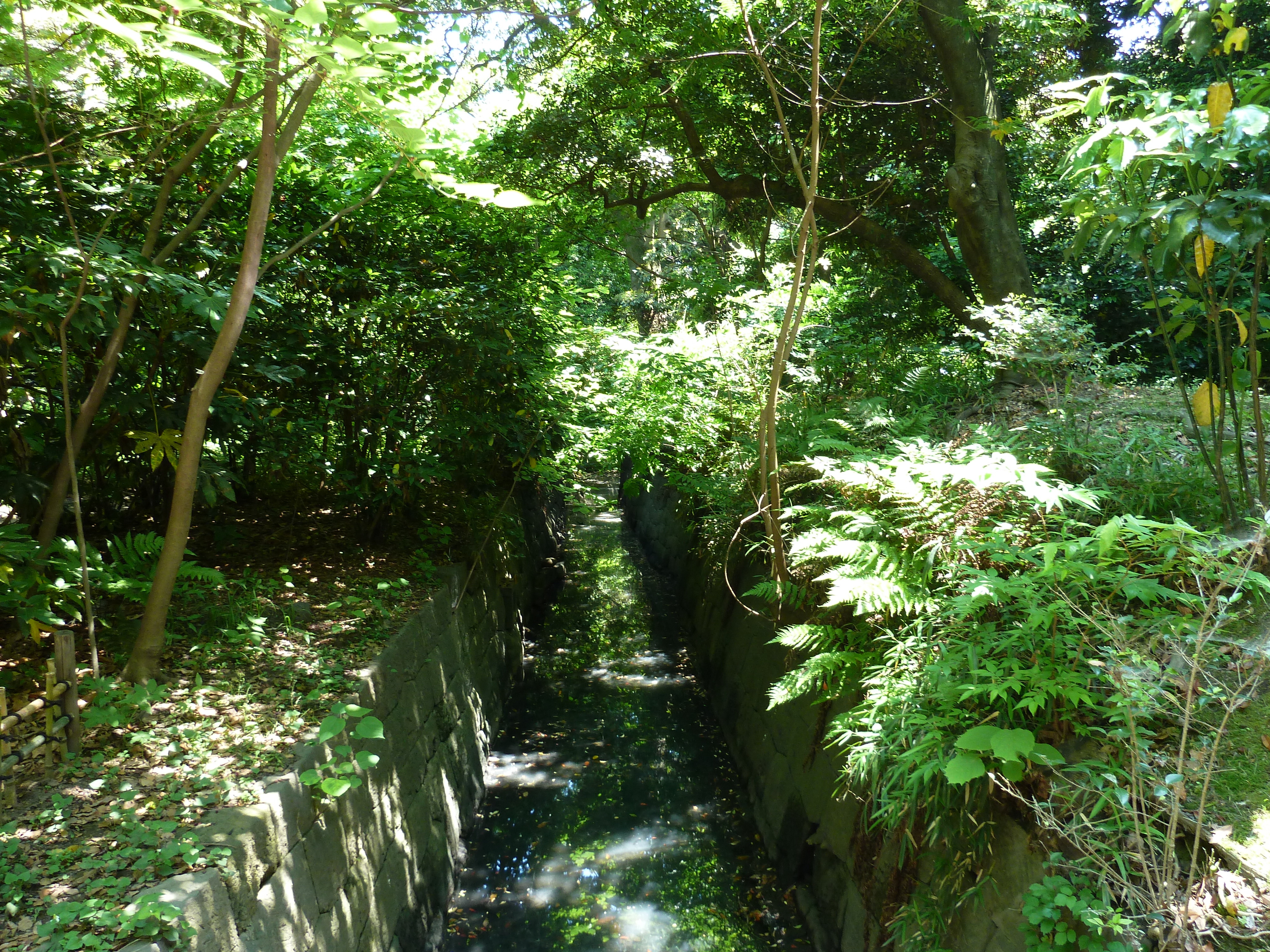 รูปถ่าย ญี่ปุ่น(Japan) โตเกียว(Tokyo) สวนฮามะริคิว(Hama rikyu Gardens) 2010-06 37