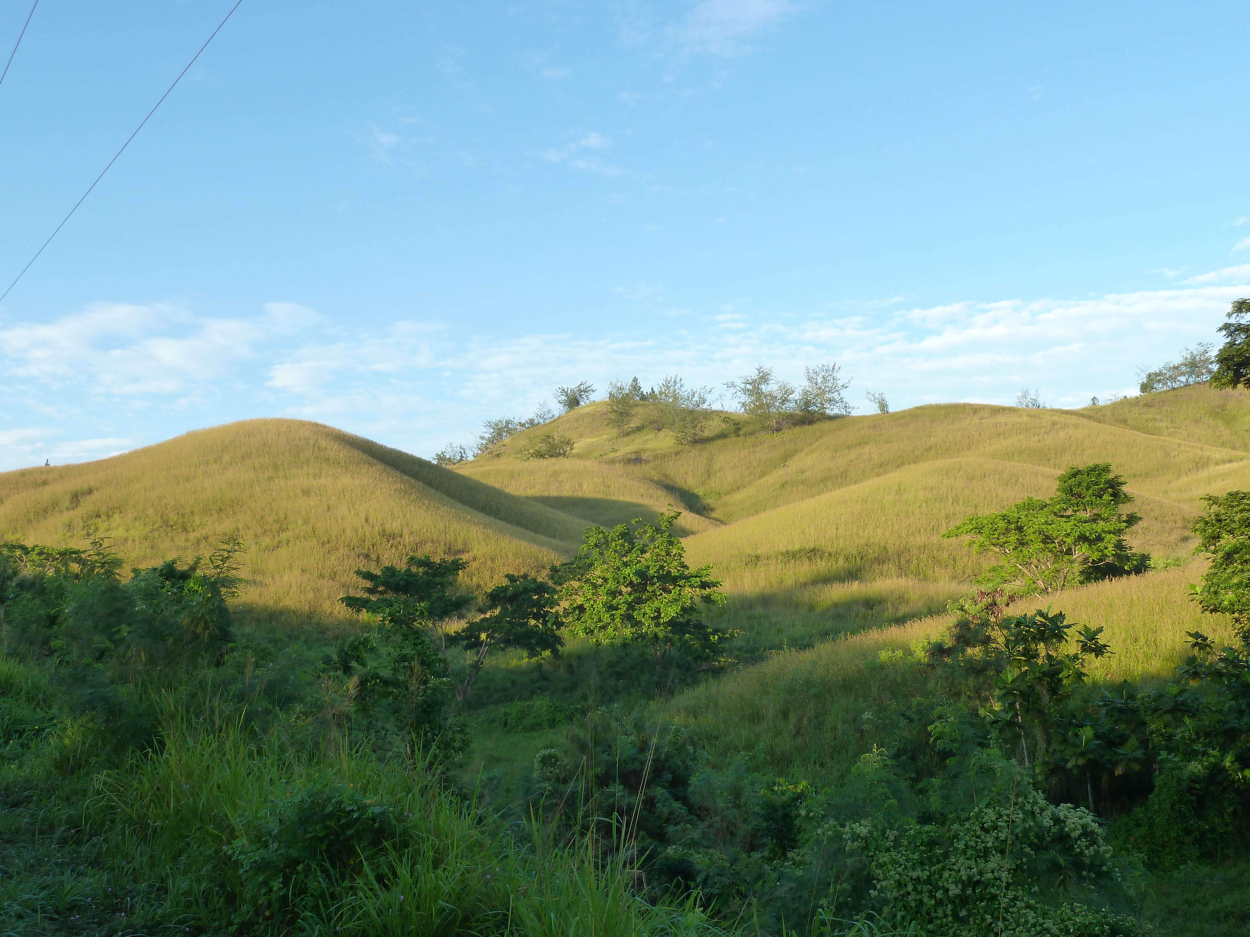 รูปถ่าย ฟิจิ(Fiji) ถนนจากนาดีไปซิงกาโตกา(Nadi to Sigatoka road) 2010-05 9