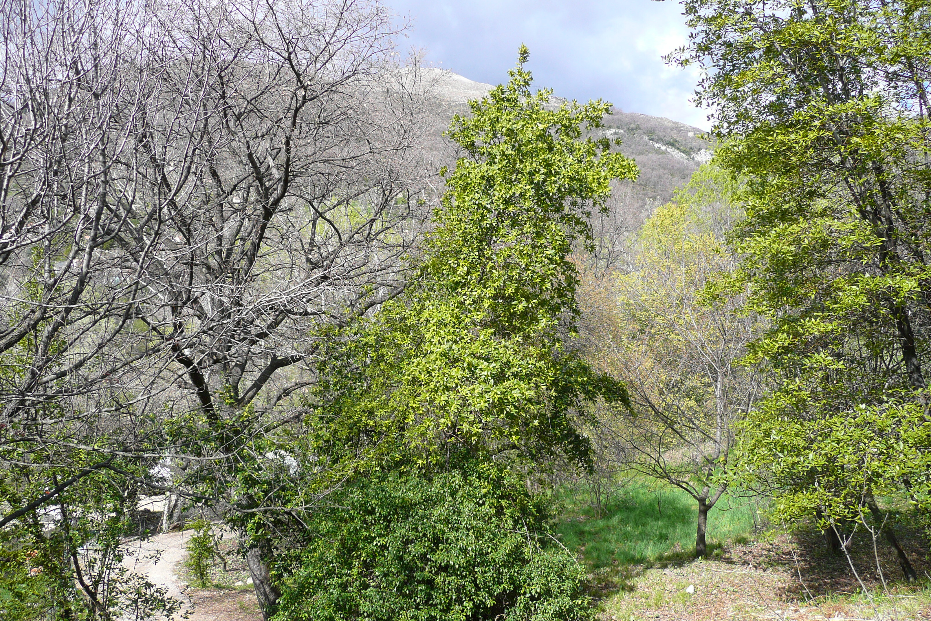 รูปถ่าย ฝรั่งเศส(France) วังซ์(Vence) โอเดอว็องส์(Hauts de Vence) 2008-03 69