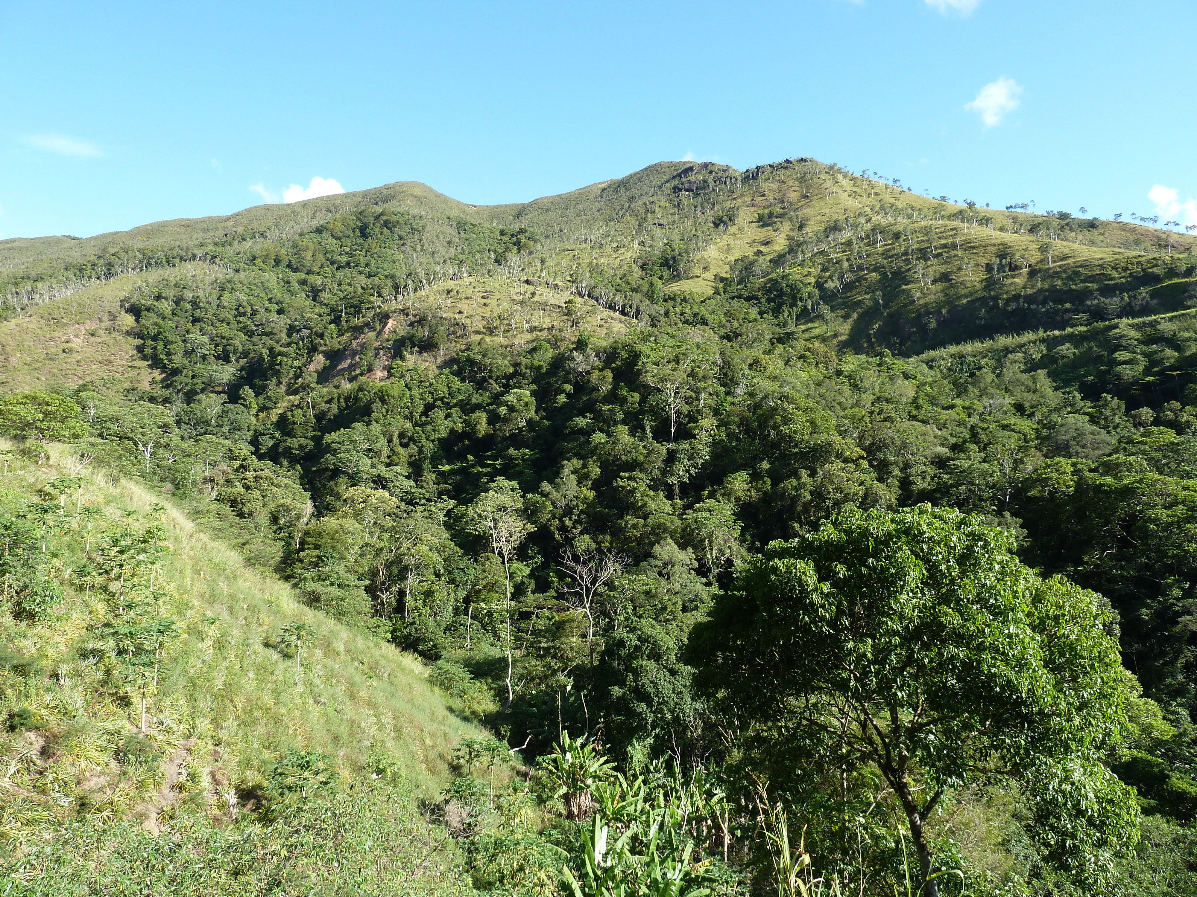 รูปถ่าย นิวแคลิโดเนีย(New Caledonia) ถนนจากกานาลาไปลาฟัว(Canala to La Foa road) 2010-05 11