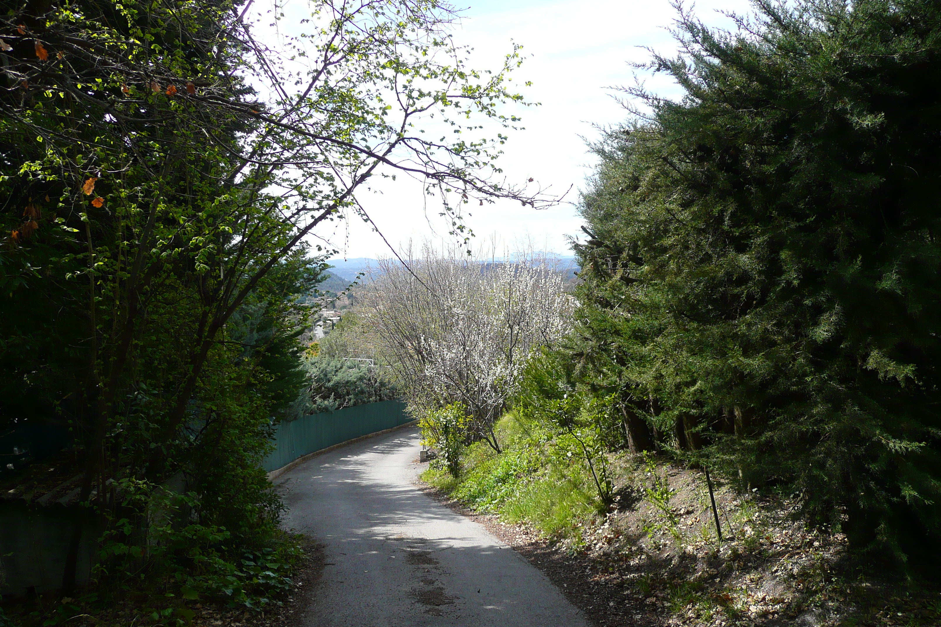 รูปถ่าย ฝรั่งเศส(France) วังซ์(Vence) โอเดอว็องส์(Hauts de Vence) 2008-03 82