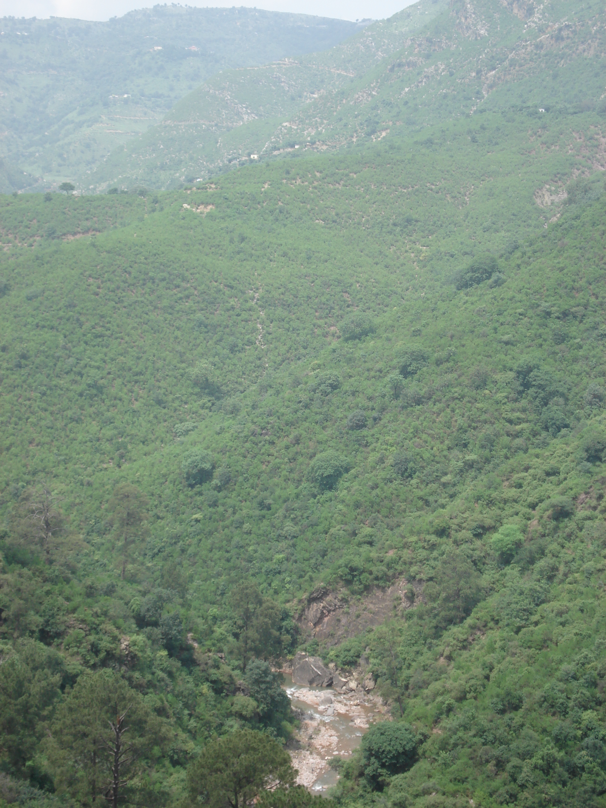 รูปถ่าย ปากีสถาน(Pakistan) ถนนจากอิสลามาบัดไปมัรรี(Islamabad to Murree road) 2006-08 38