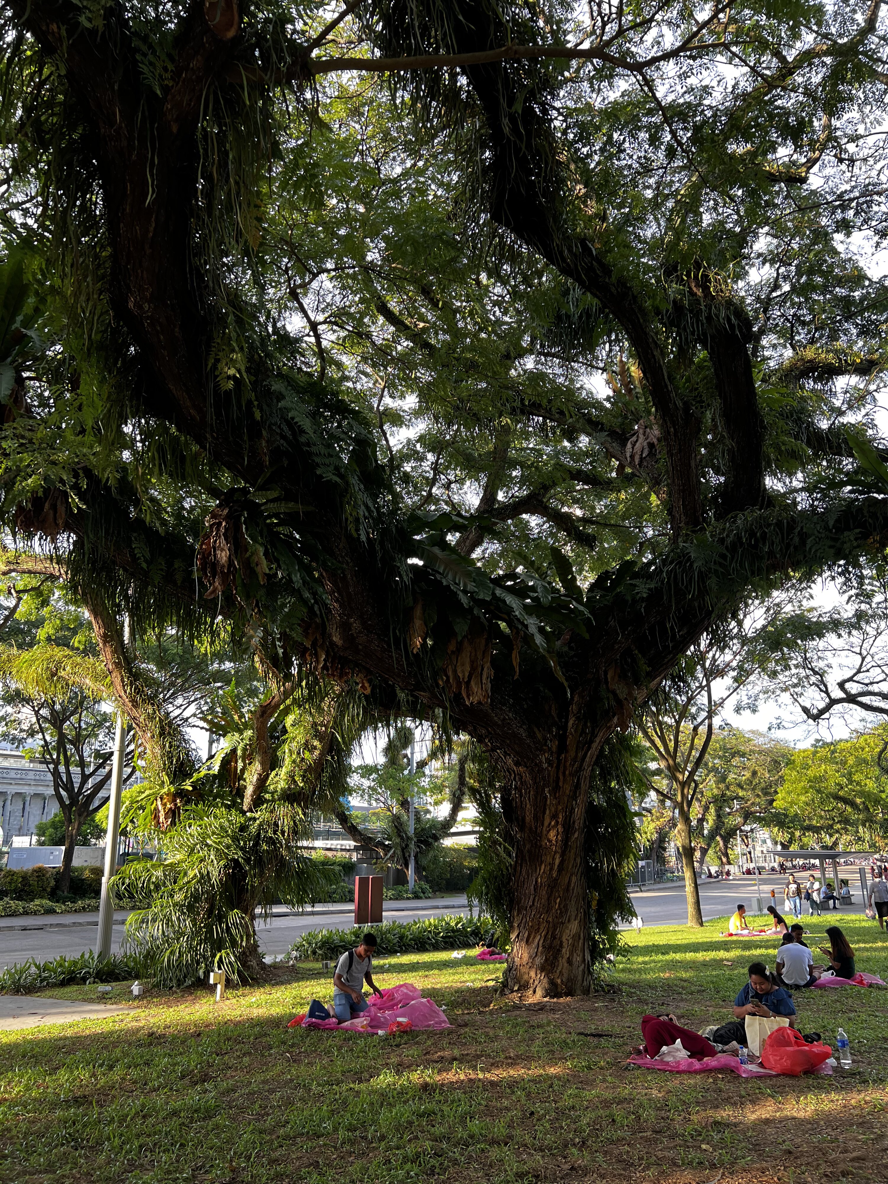 รูปถ่าย สิงคโปร์(Singapore) 2023-01 57