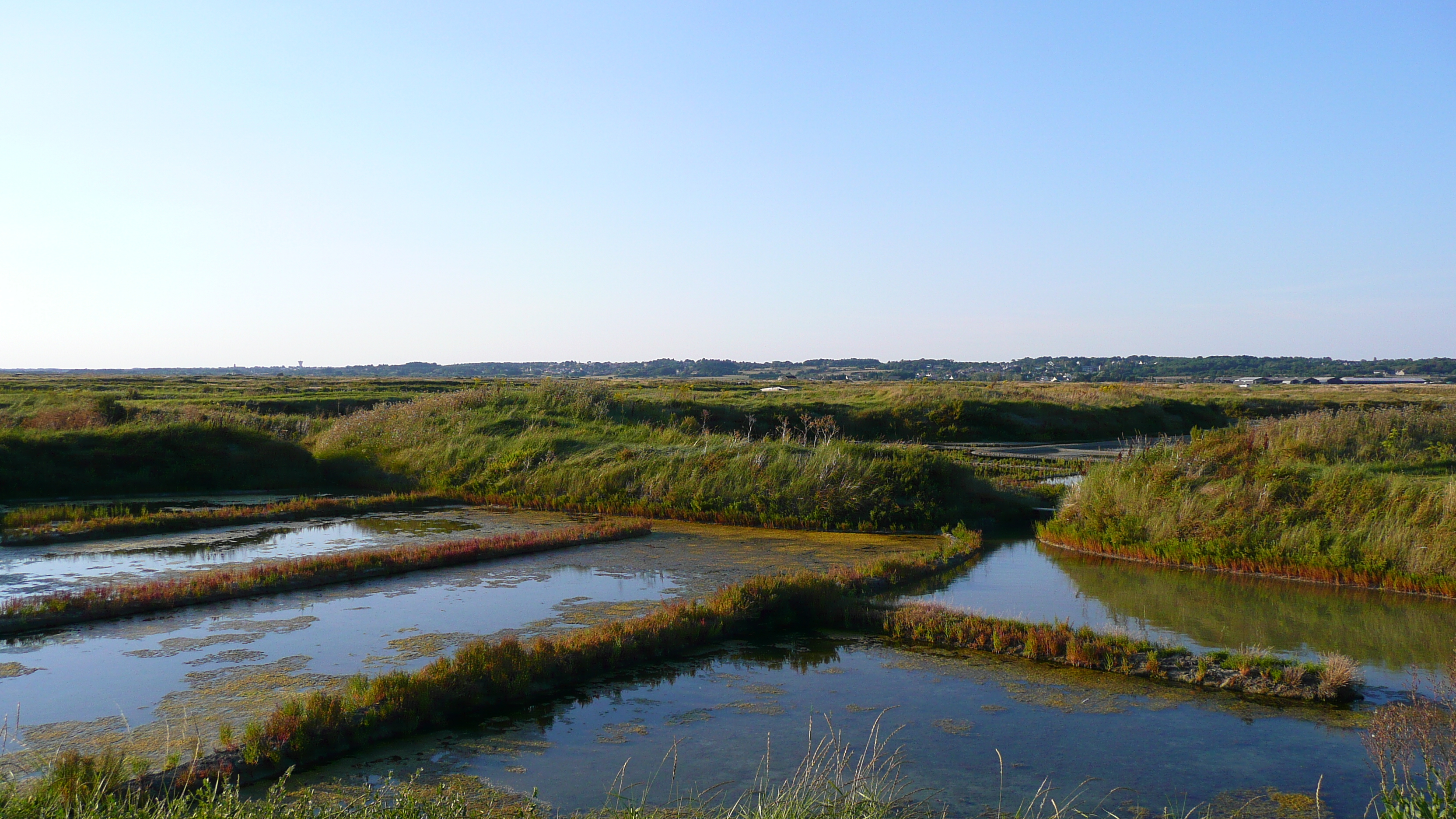 รูปถ่าย ฝรั่งเศส(France) เกรองเดอ(Guerande) นาเกลือ(Les marais salants) 2007-08 16