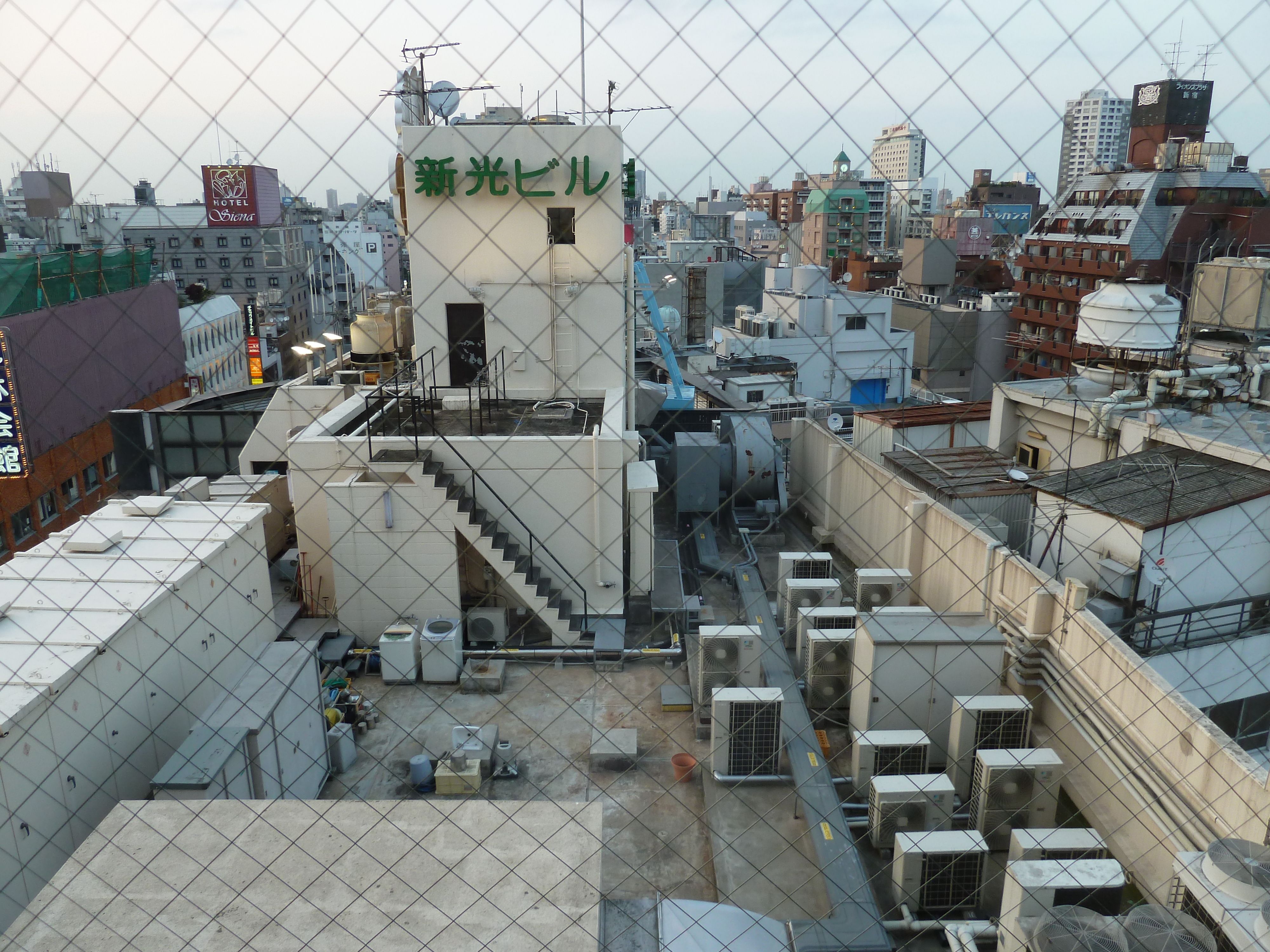 รูปถ่าย ญี่ปุ่น(Japan) โตเกียว(Tokyo) โรงแรมเบสต์เวสเทิร์นชินจูกุแอสตินา โตเกียว(Best Western Shinjuku Astina Hotel Tokyo) 2010-06 6