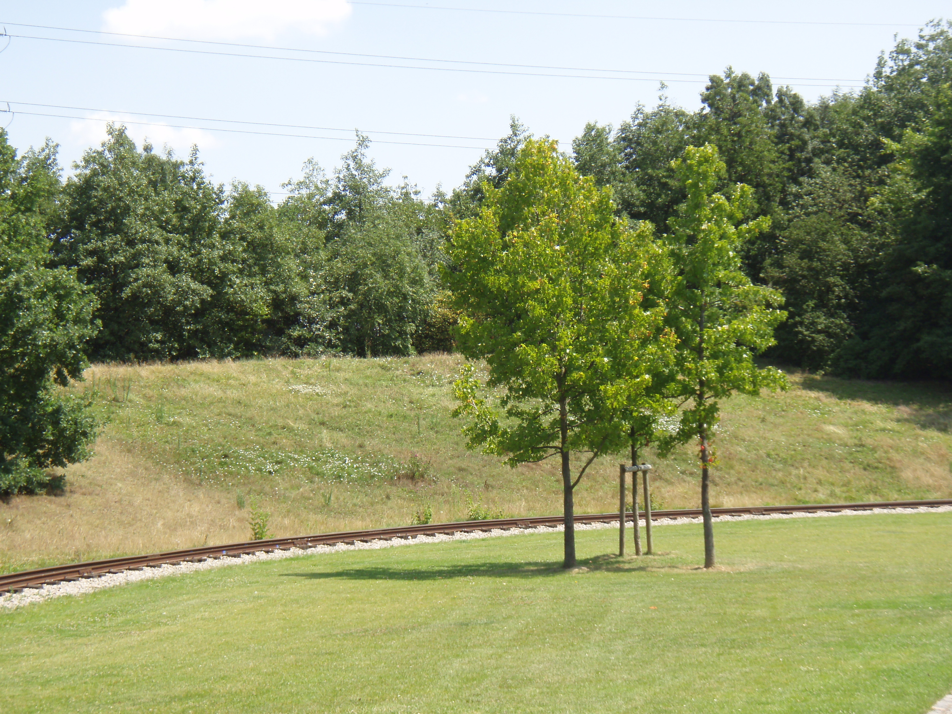 รูปถ่าย ฝรั่งเศส(France) วีลเนิฟ-ลา-การาน(Villeneuve La Garenne) สวนช็องเตอแรน(Parc des Chanteraines) 2007-07 53