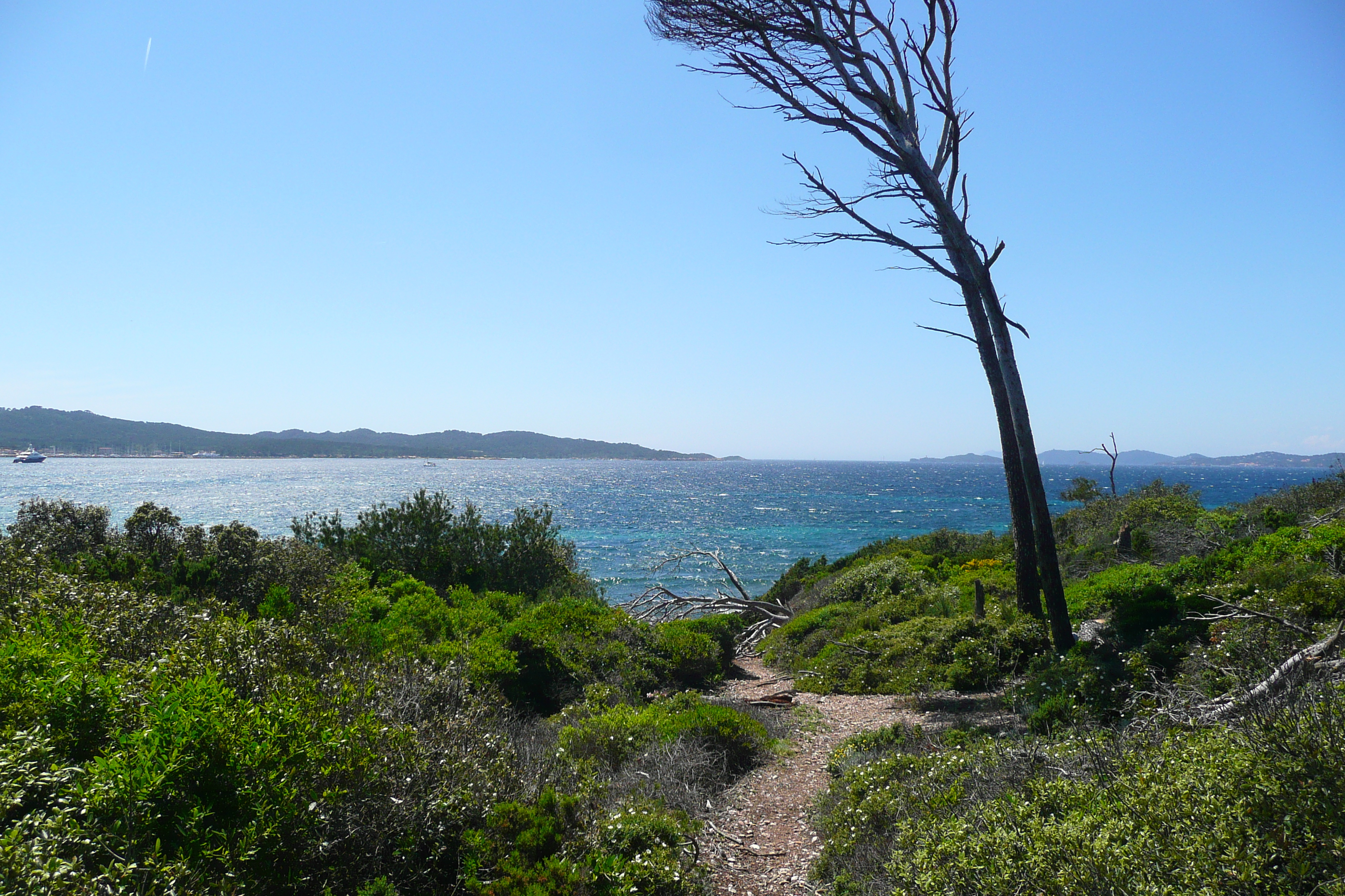 รูปถ่าย ฝรั่งเศส(France) เกาะปอร์เกอรอล(Porquerolles Island) แหลมเลอแก็ง(Pointe du Lequin) 2008-05 27